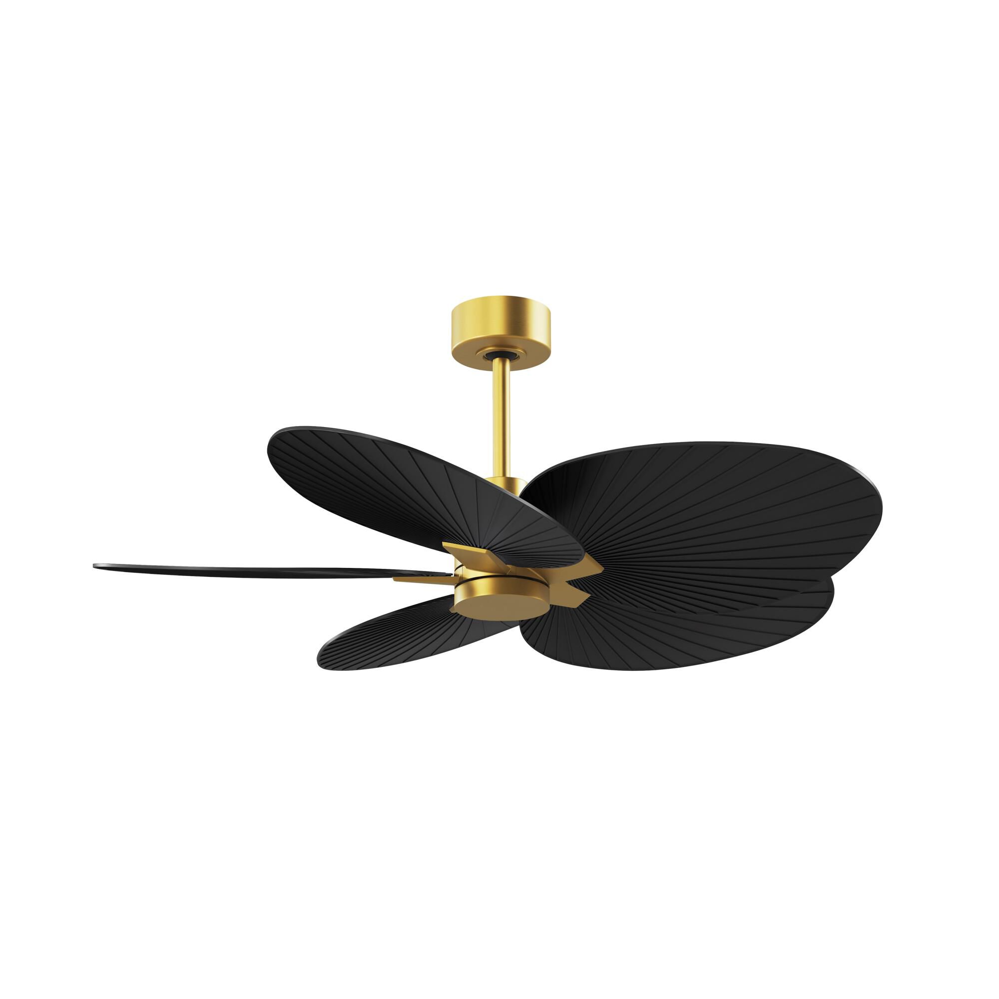 Alessandra Tropical 48 Inch Ceiling Fan by Matthews Fan Company