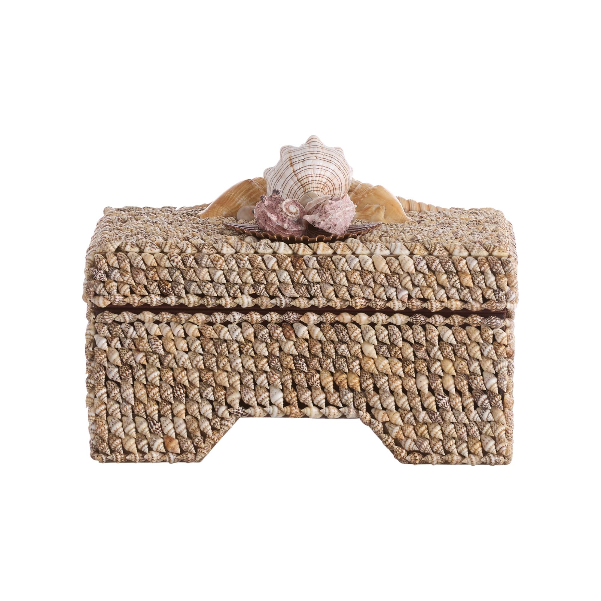 Island Shell Accent Box by Chelsea House