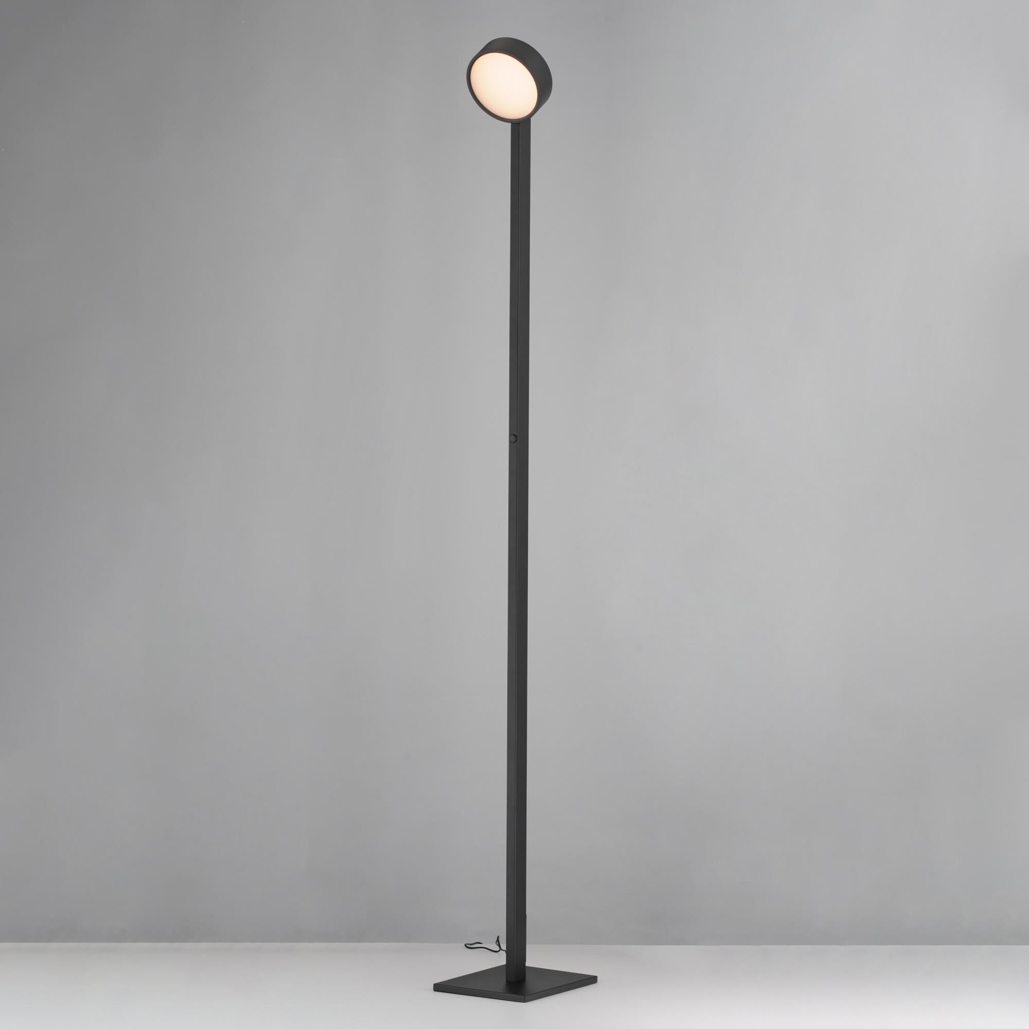 Embrace 65 Inch Reading Lamp by ET2 Lighting