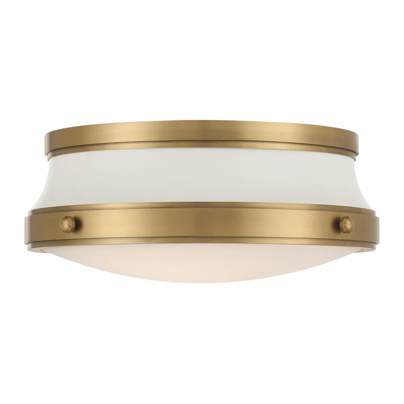 Purelight 15 Inch Flush Mount by Minka Lavery