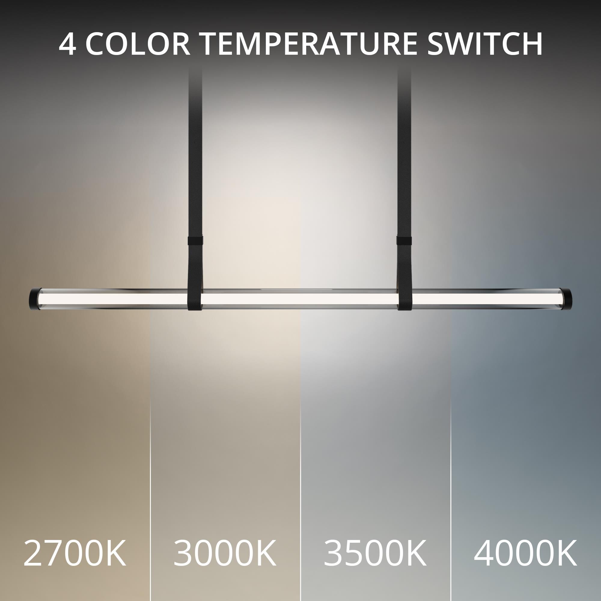 Balance Beam 53 Inch Linear Suspension Light by dweLED