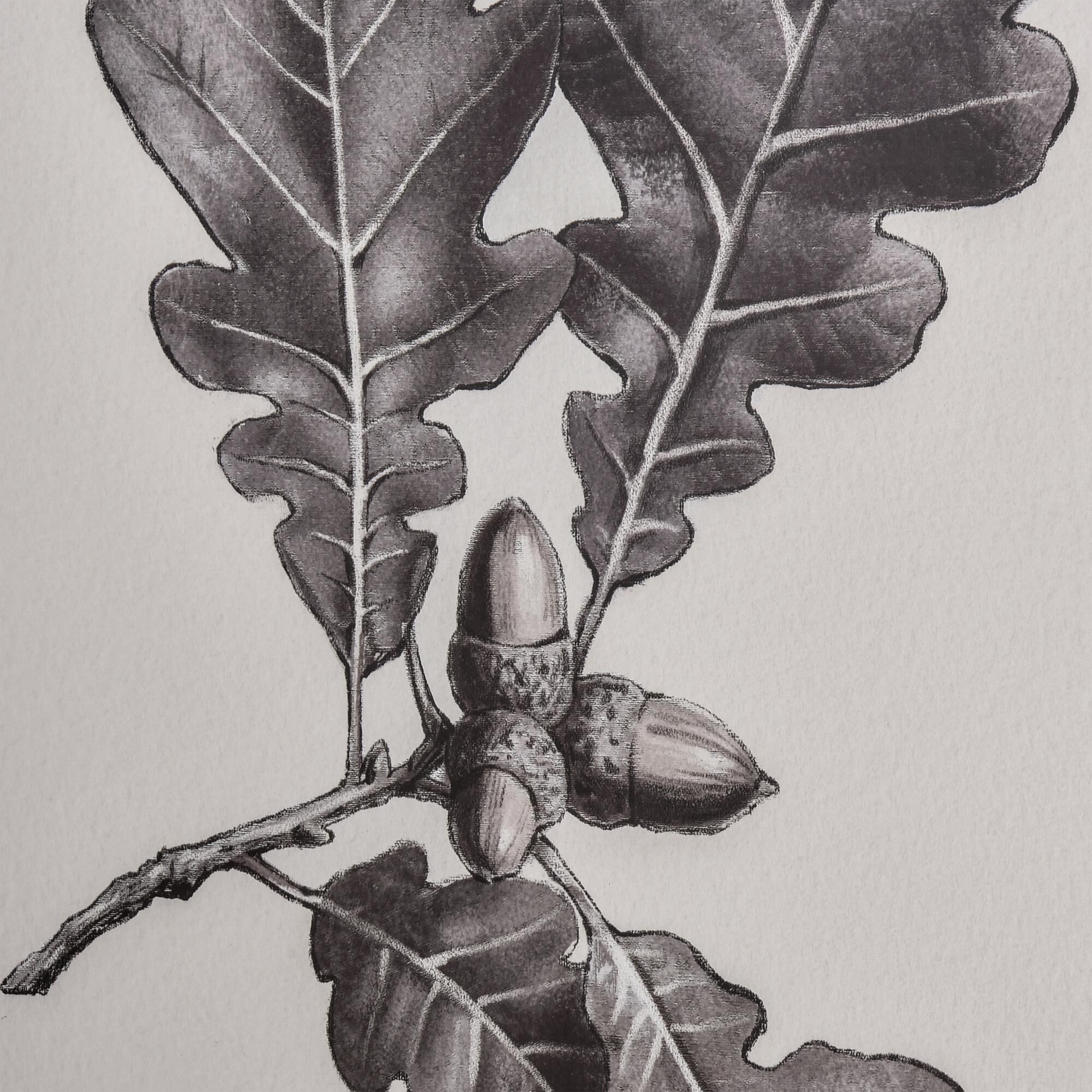 Oak Botanic Alternative Wall Art by ELK Home