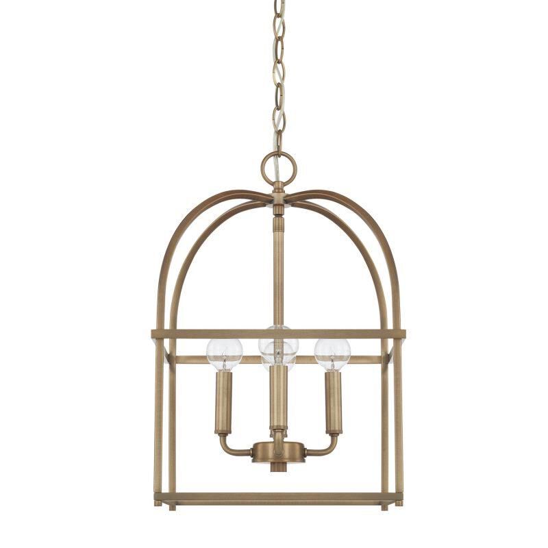 12 Inch Cage Pendant by Homeplace by Capital Lighting Fixture Company