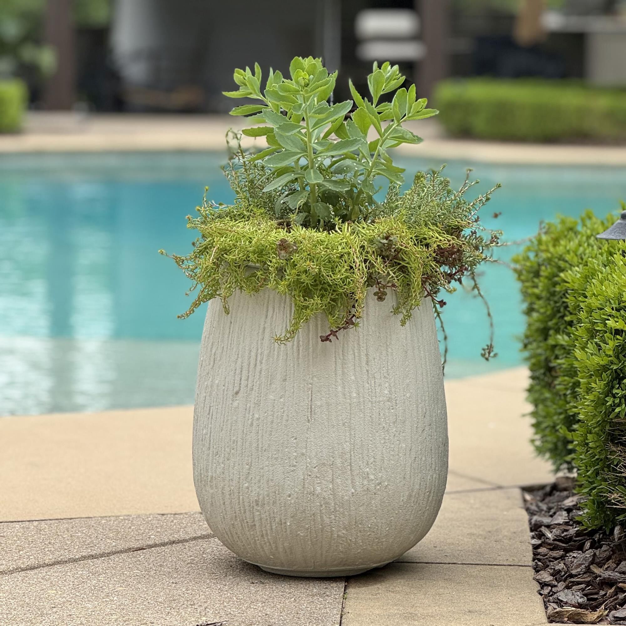 Grace Feyock Rustic Ridge 14 Inch Planter by Uttermost
