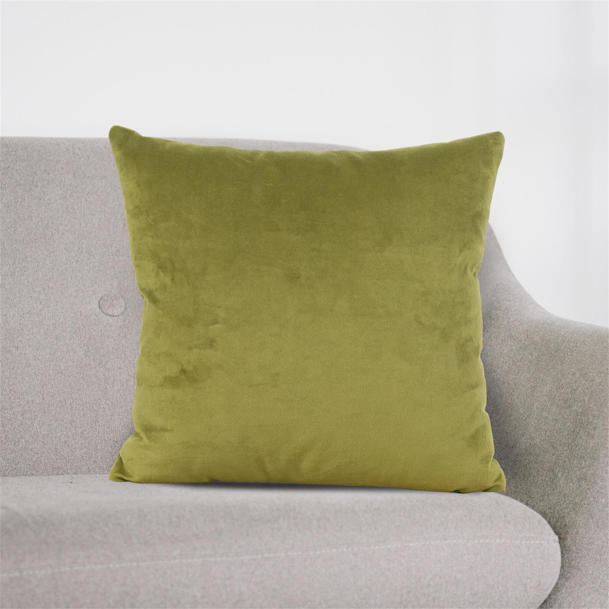 Square 20 Inch Decorative Pillow,