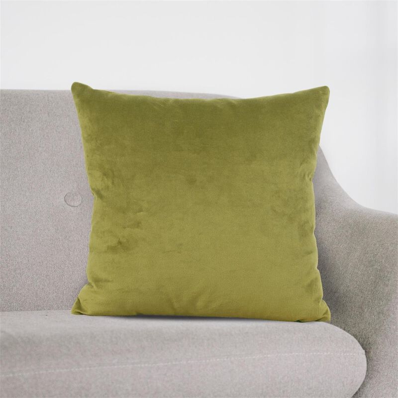 Square 20 Inch Decorative Pillow by Howard Elliott