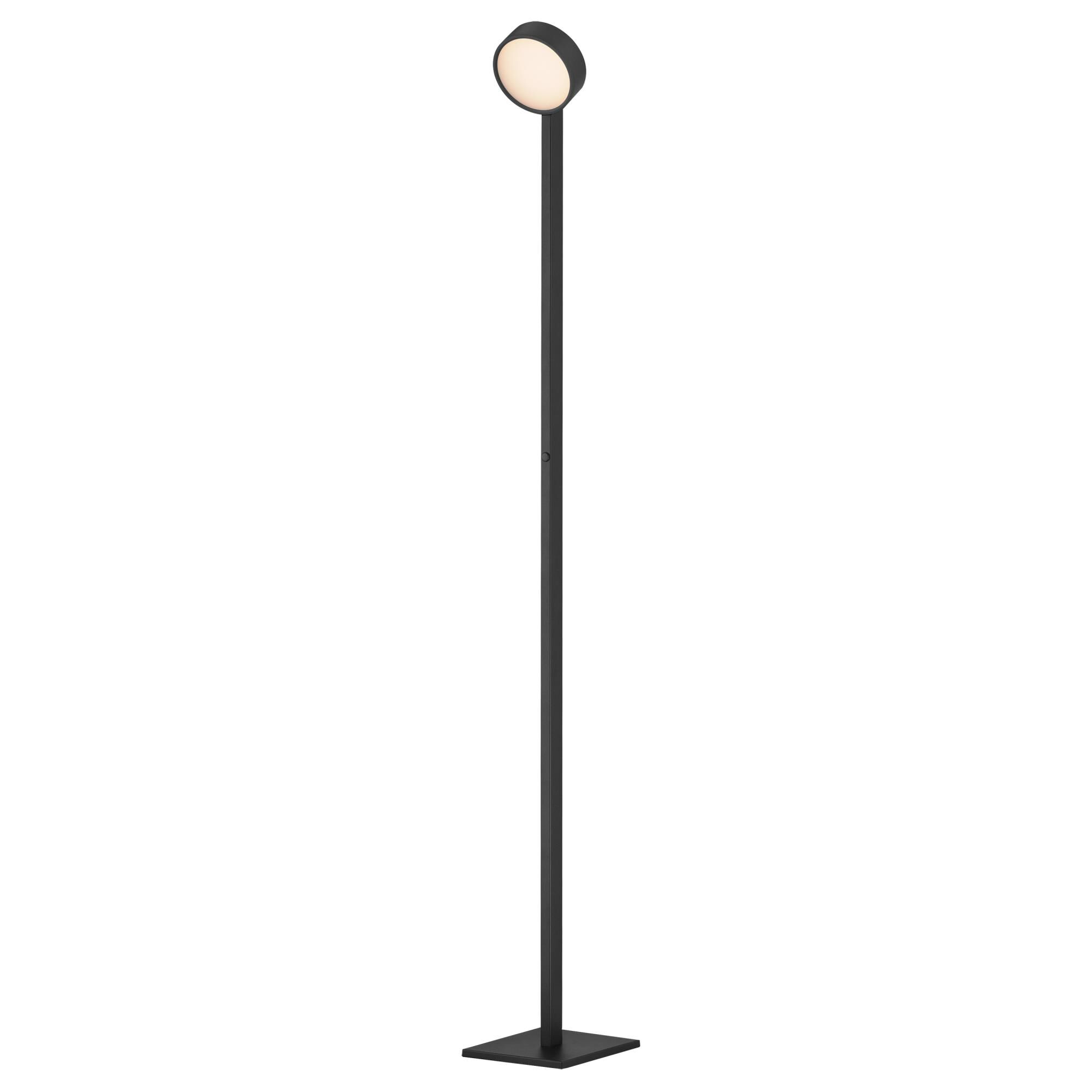Embrace 65 Inch Reading Lamp by ET2 Lighting