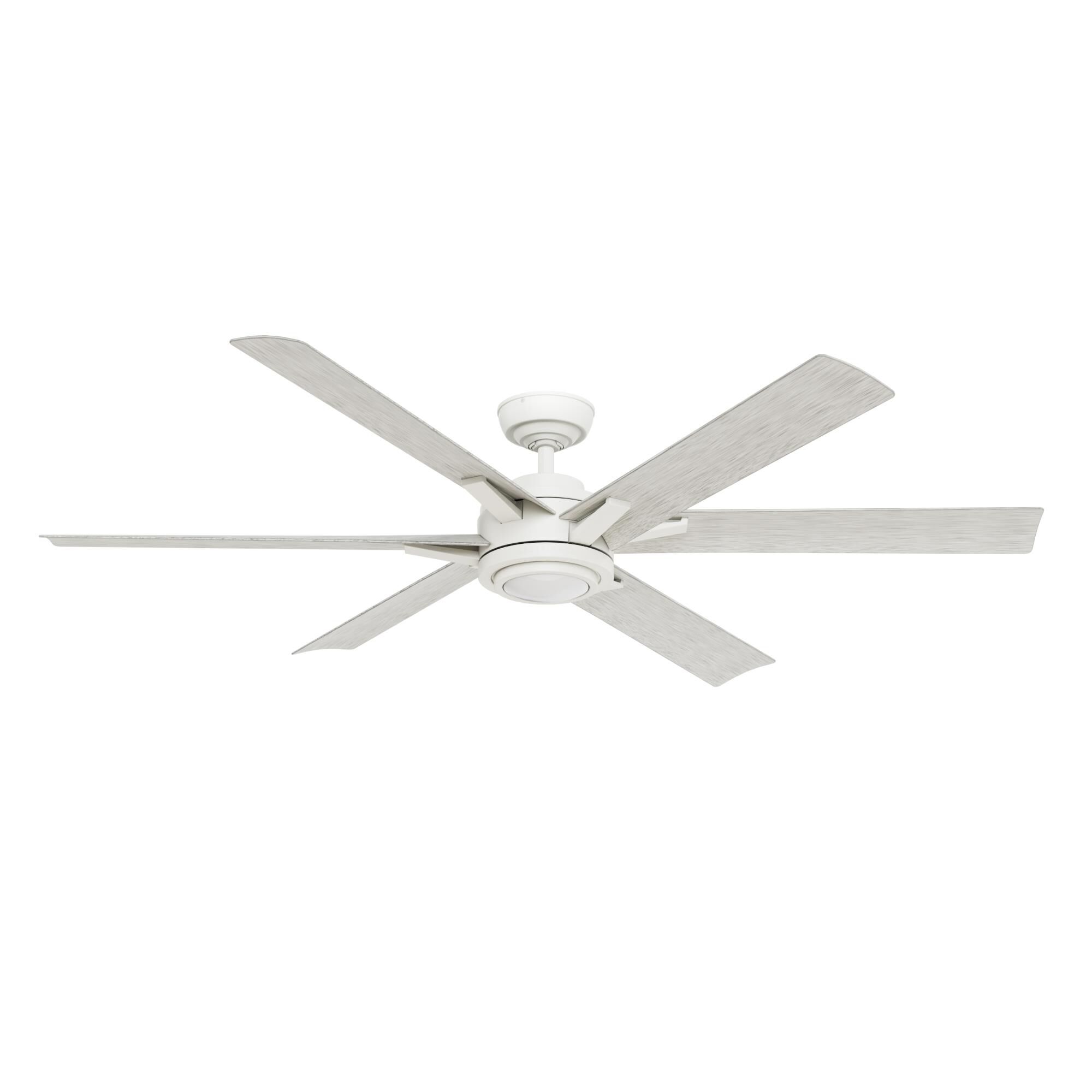 Melia 65 Inch Ceiling Fan with Light Kit Fan by Casablanca Fan Company