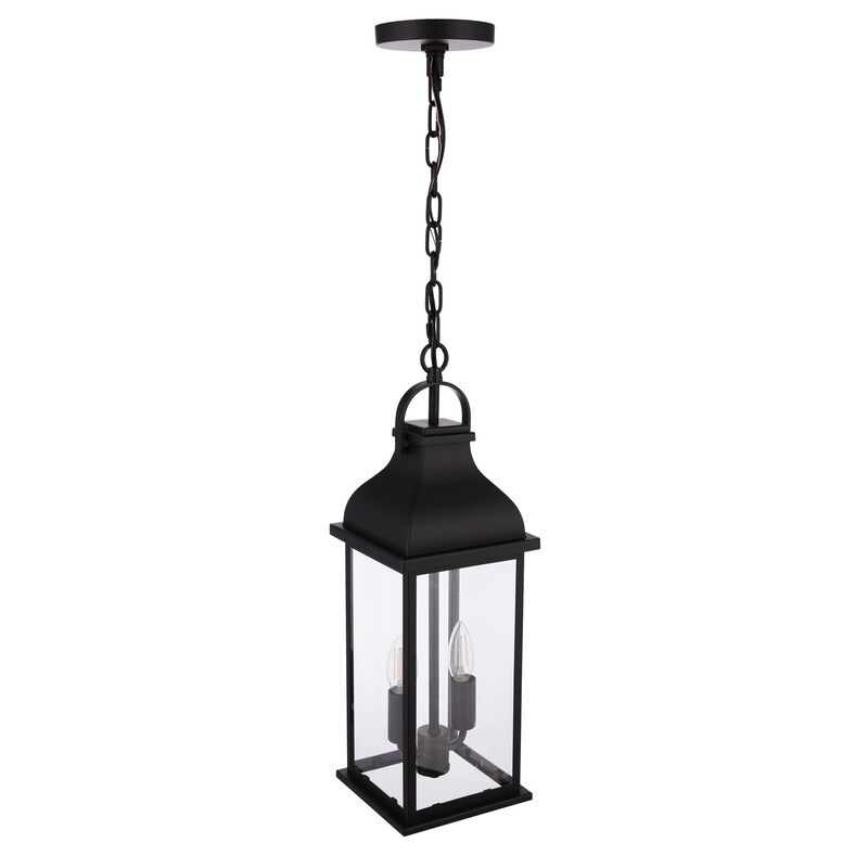 Bent Tree Medium Outdoor Hanging Lantern by Craftmade