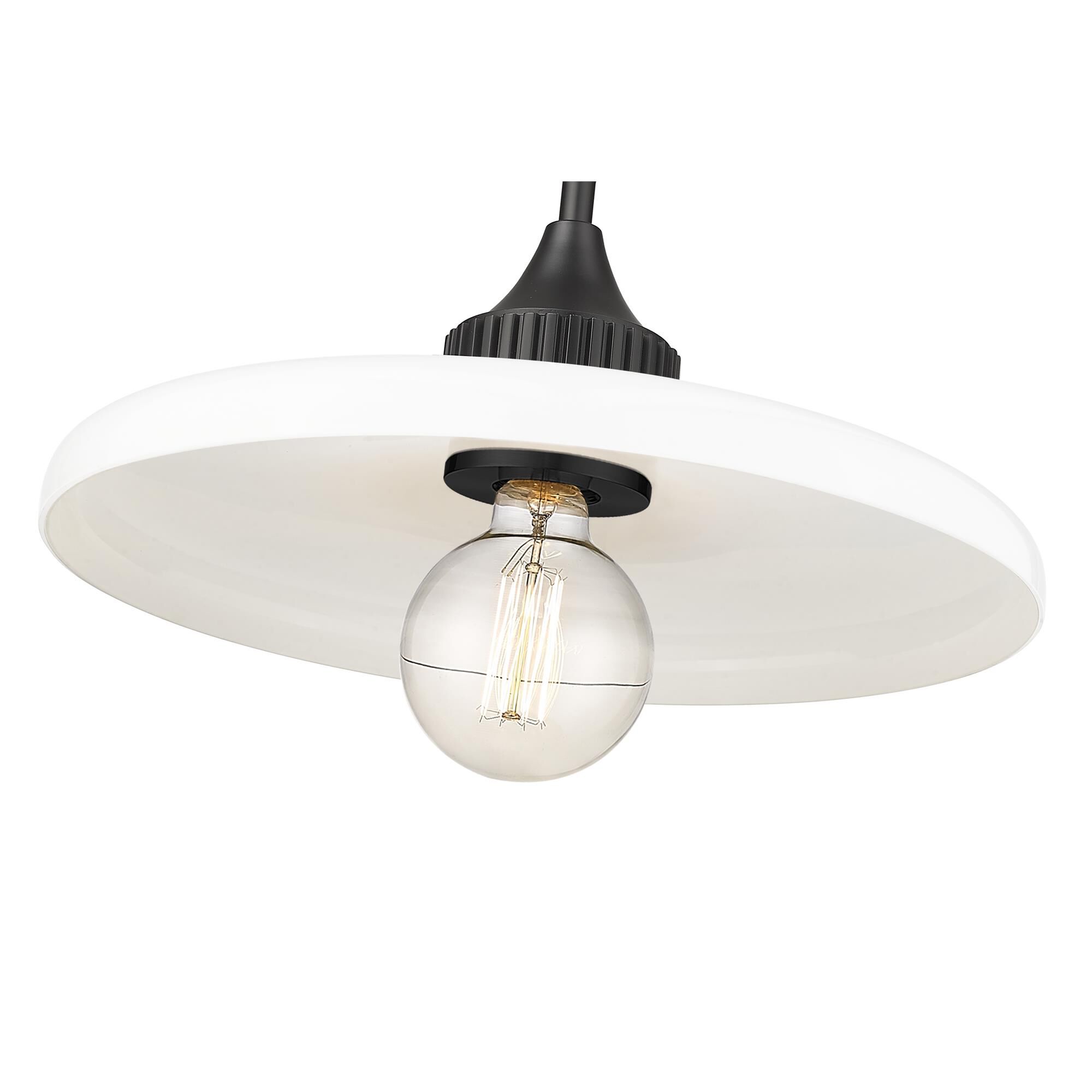 Z-Lite Paloma 14 Inch Large Pendant
