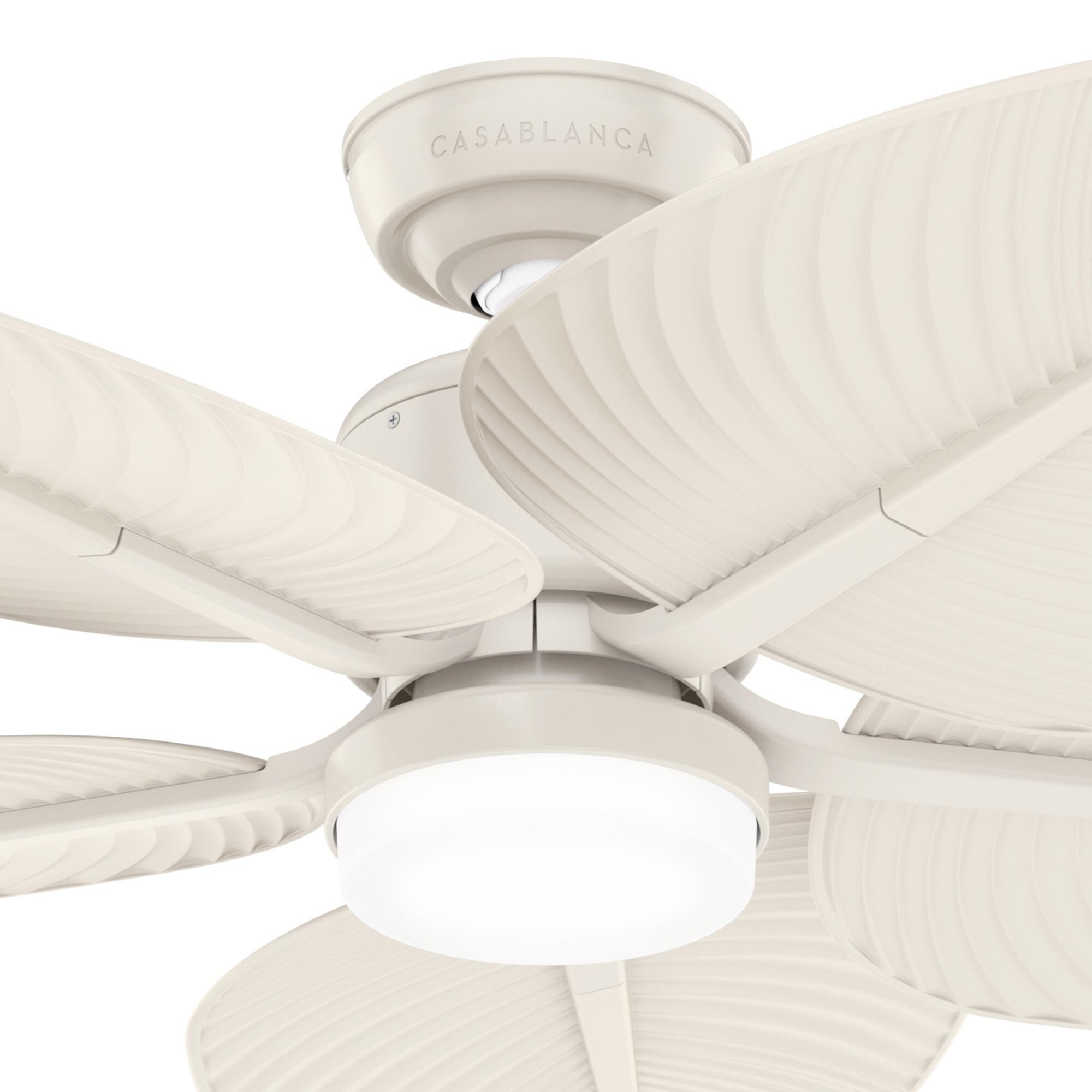Coveview 52 Inch Ceiling Fan with Light Kit by Casablanca Fan Company