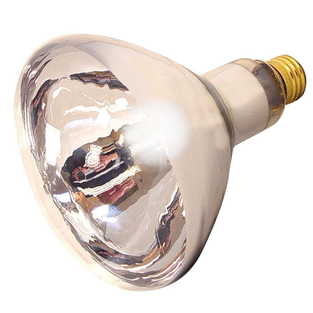 125 Watt R40 Incandescent Light Bulb by Satco