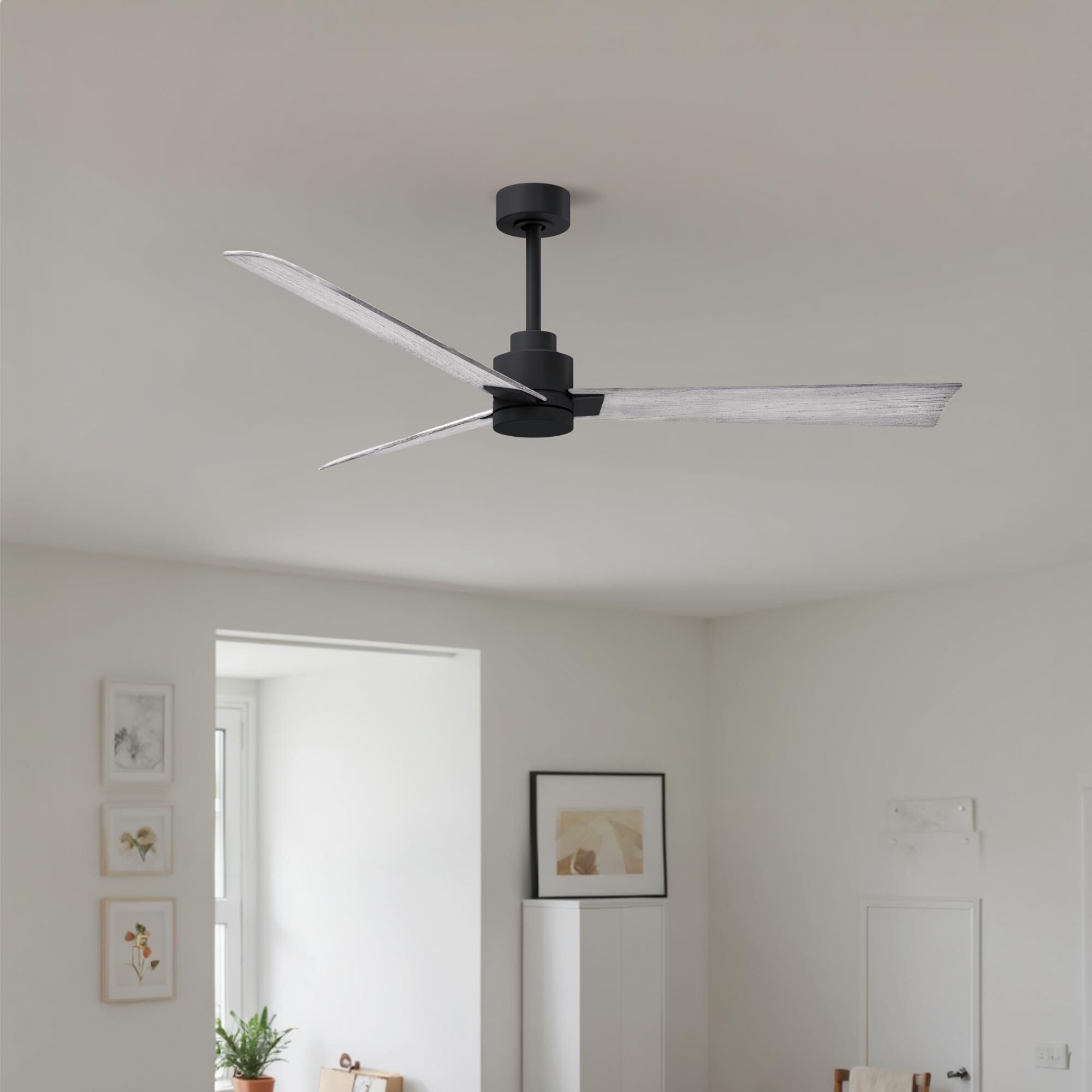 Alessandra 56 Inch Ceiling Fan by Matthews Fan Company
