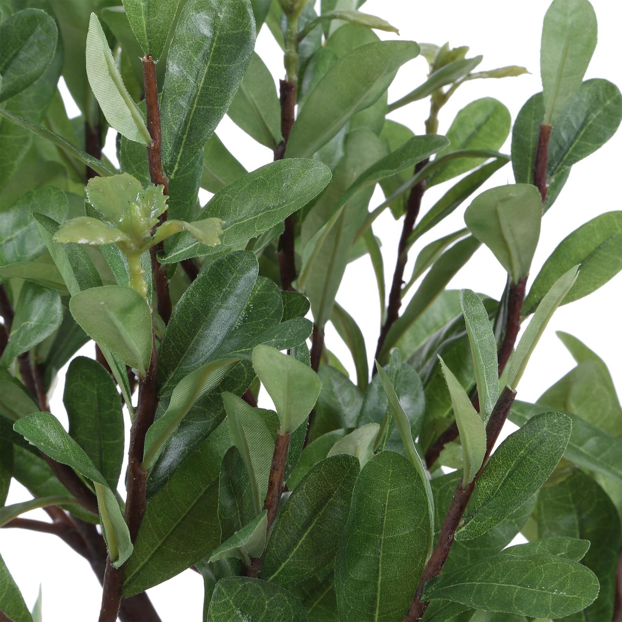 Shown in Brown, Green finish