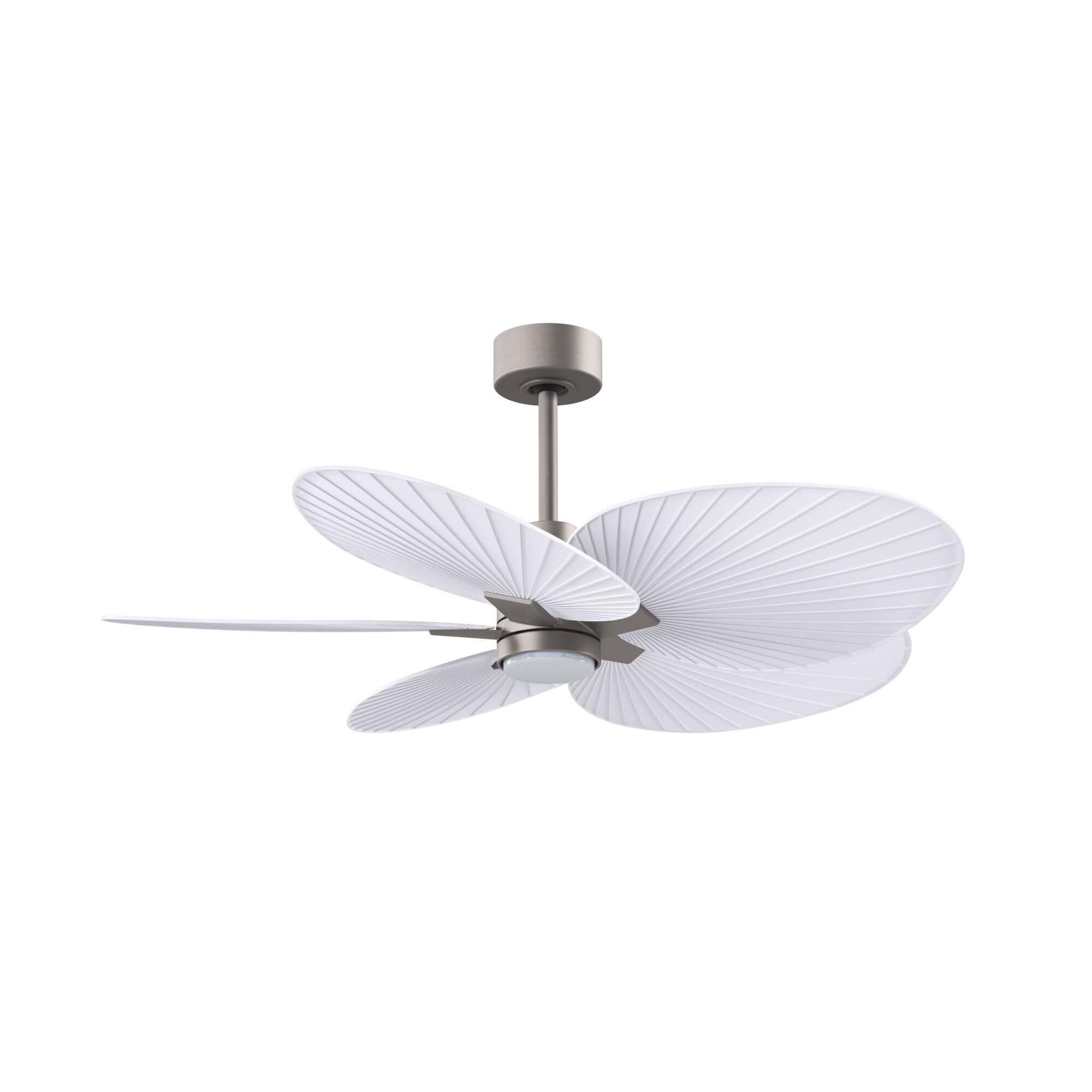 Alessandra Tropical Outdoor Rated 48 Inch Ceiling Fan with Light Kit by Matthews Fan Company