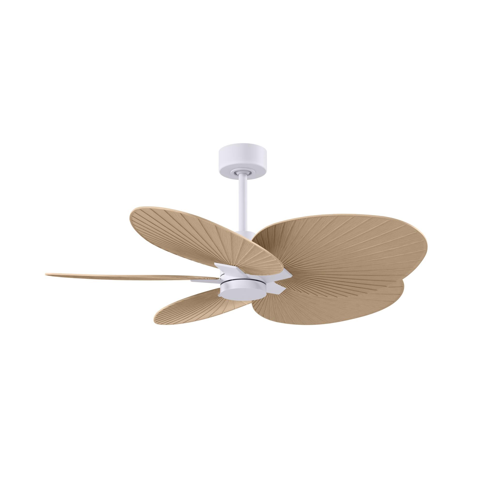 Alessandra Tropical 48 Inch Ceiling Fan by Matthews Fan Company