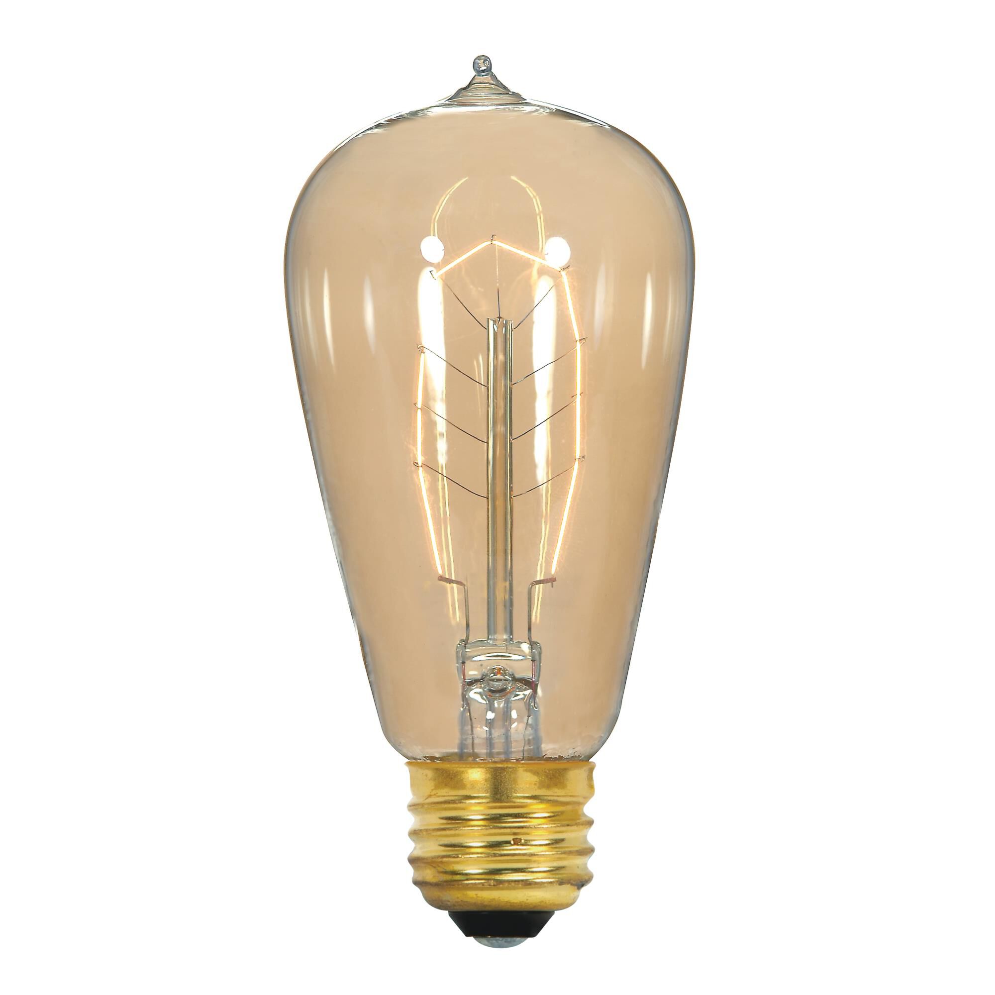 40 Watt Vintage Light Bulb by Satco