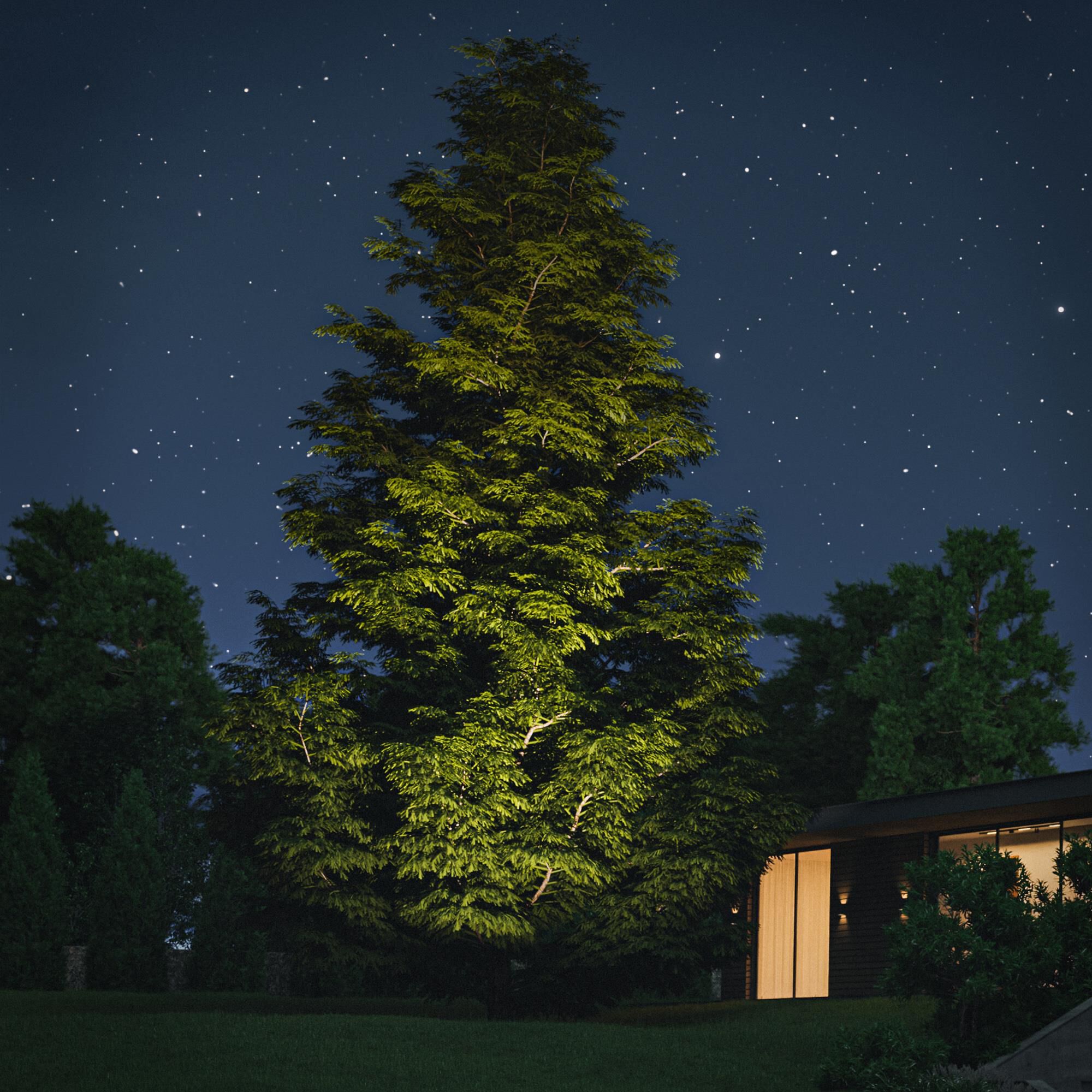 Shown in Black finish