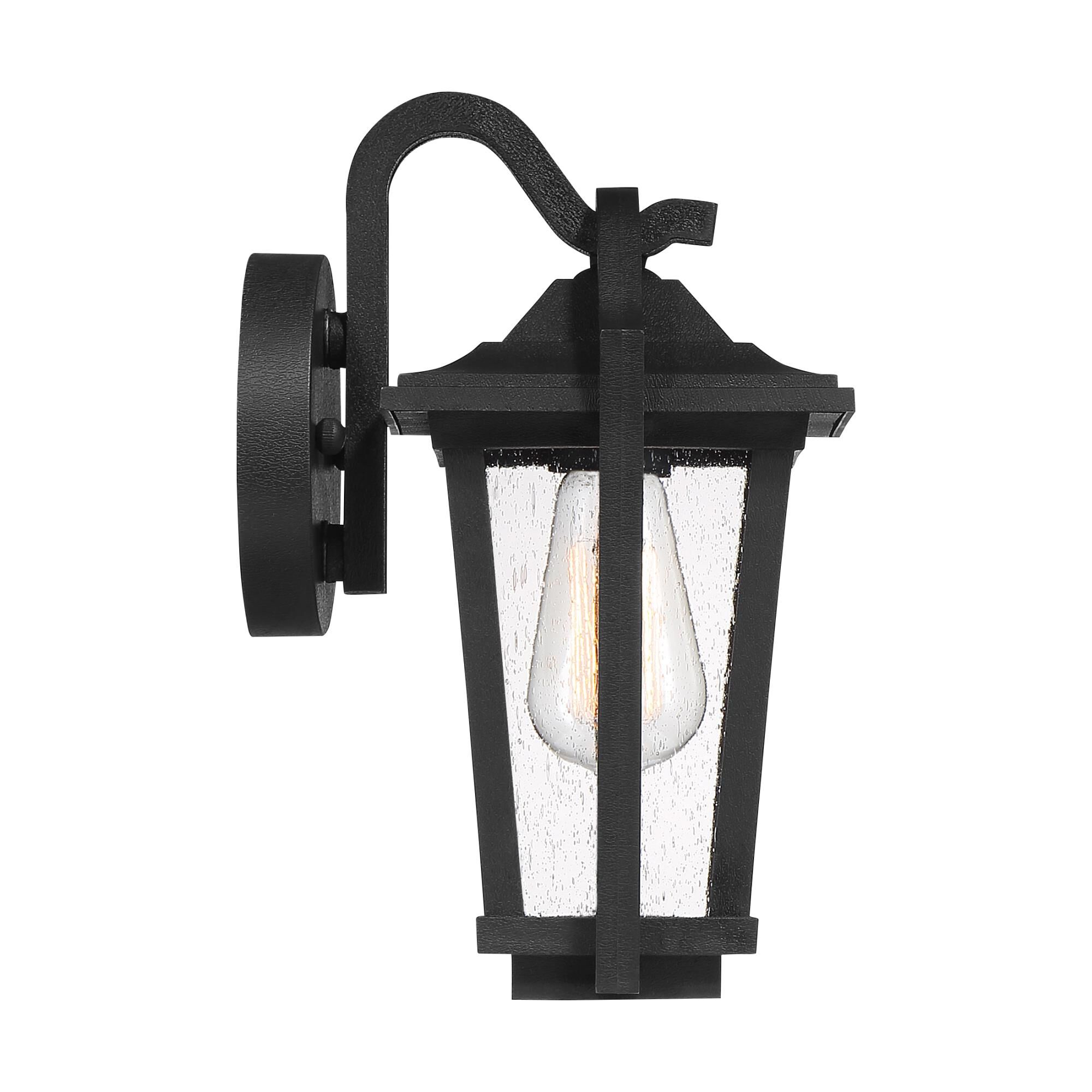 Quoizel Darius 11 Inch Tall Outdoor Wall Light