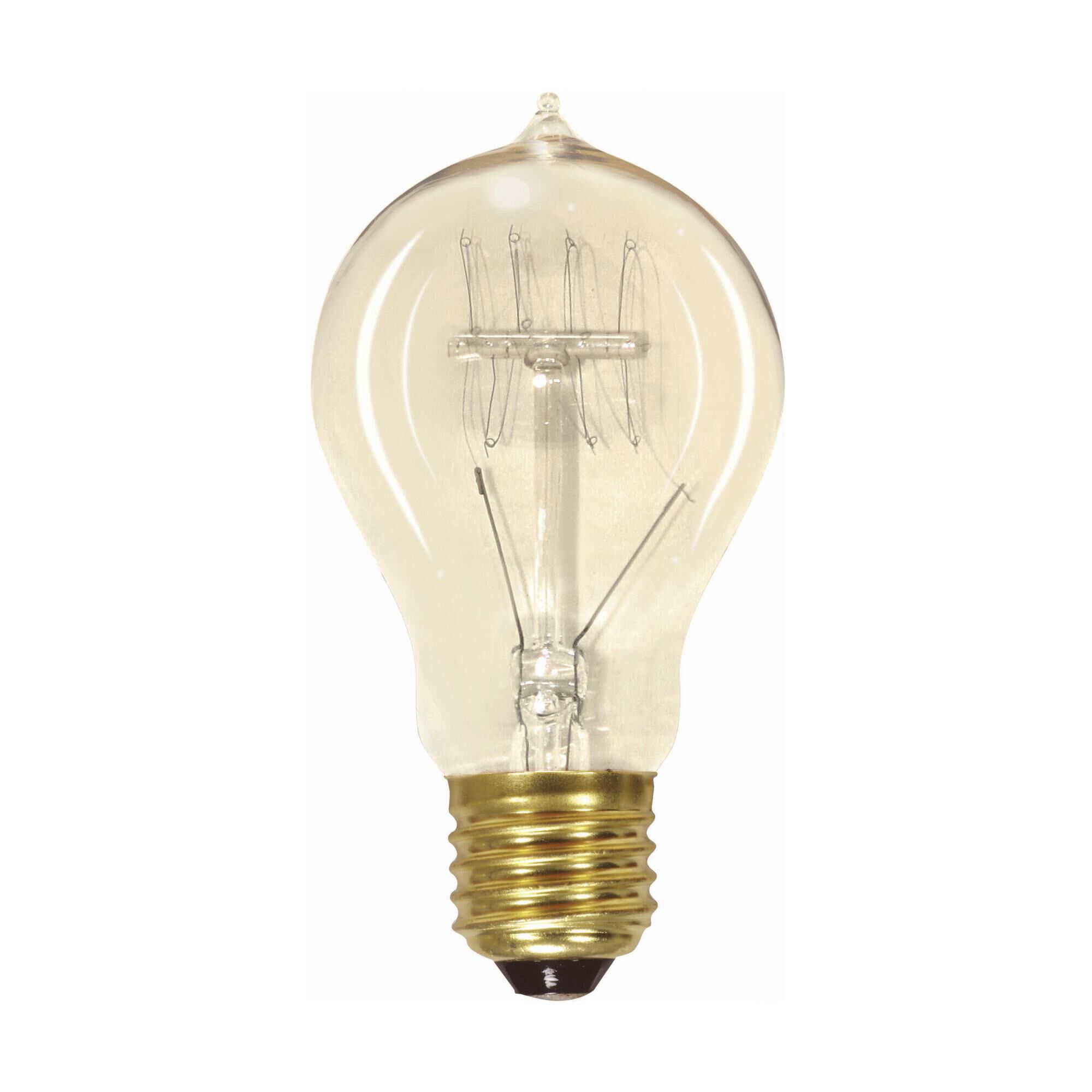 60 Watt A19 Vintage Light Bulb,