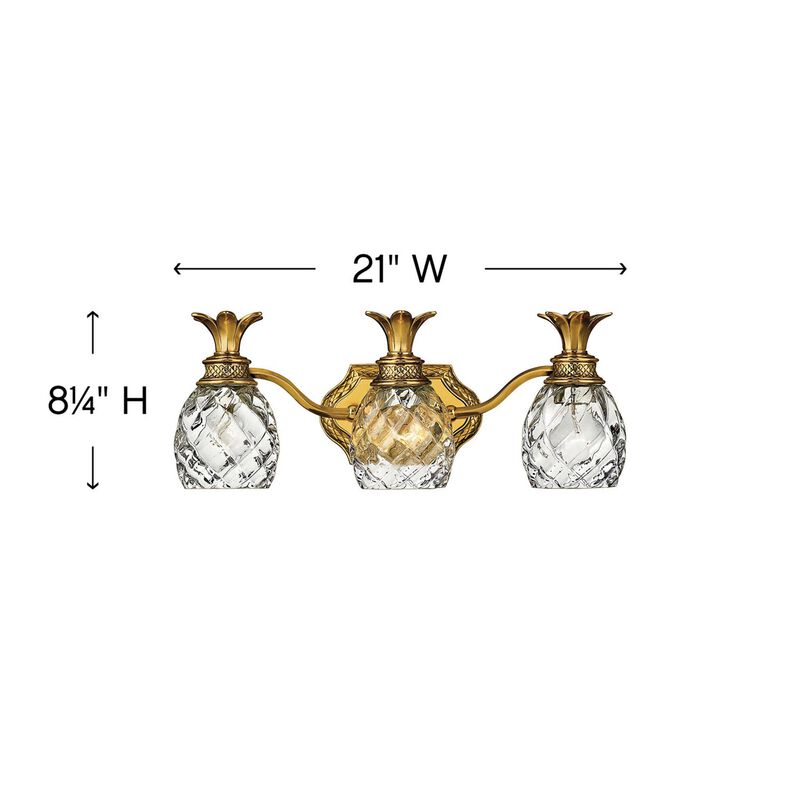 Plantation 21 Inch 3 Light Bath Vanity Light by Hinkley Lighting