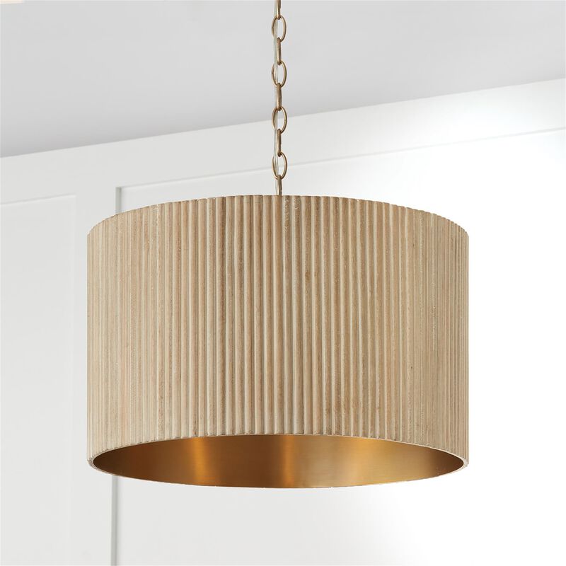 Donovan 19 Inch Large Pendant by Capital Lighting Fixture Company