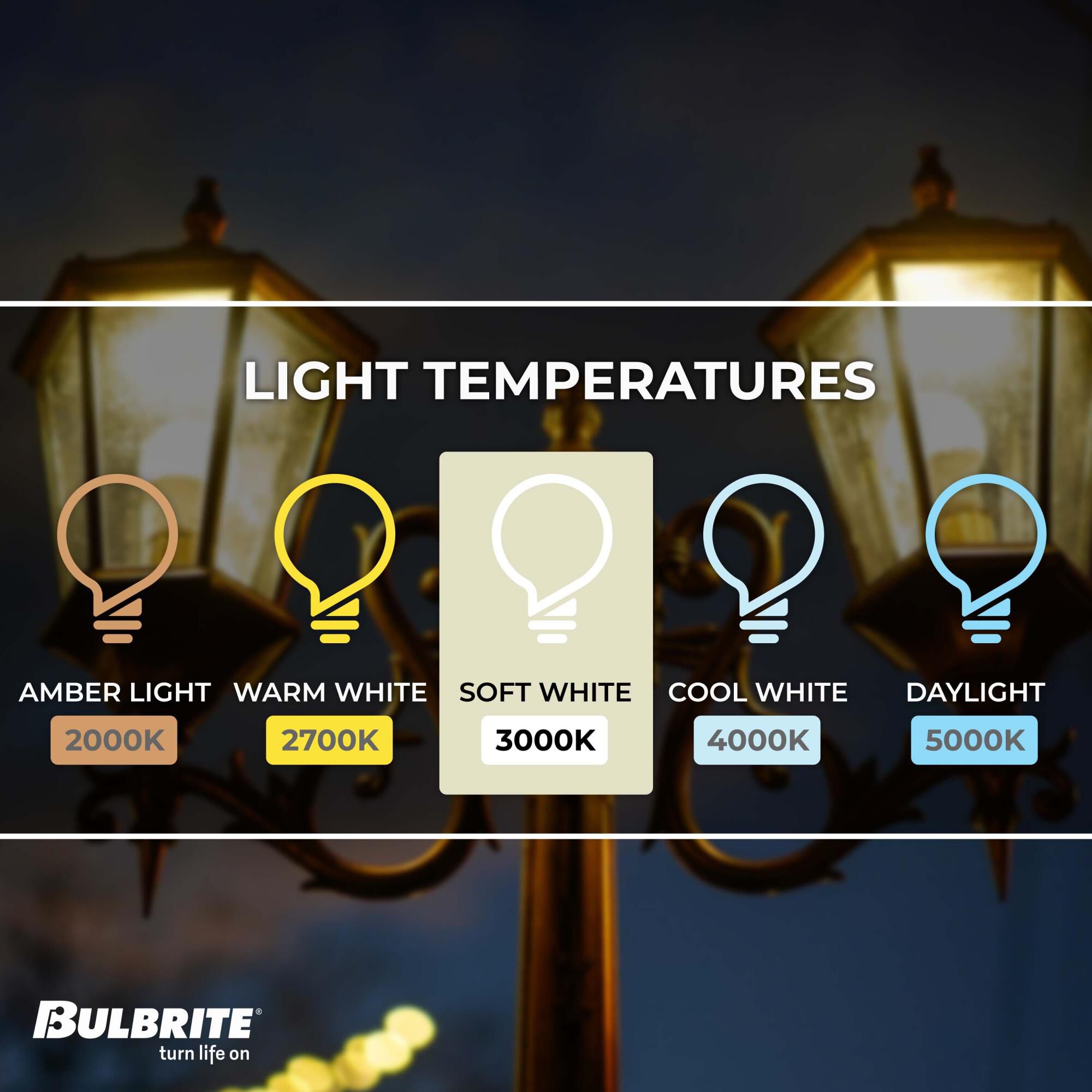 9 Watt 3000K A19 LED Light Bulb by Bulbrite