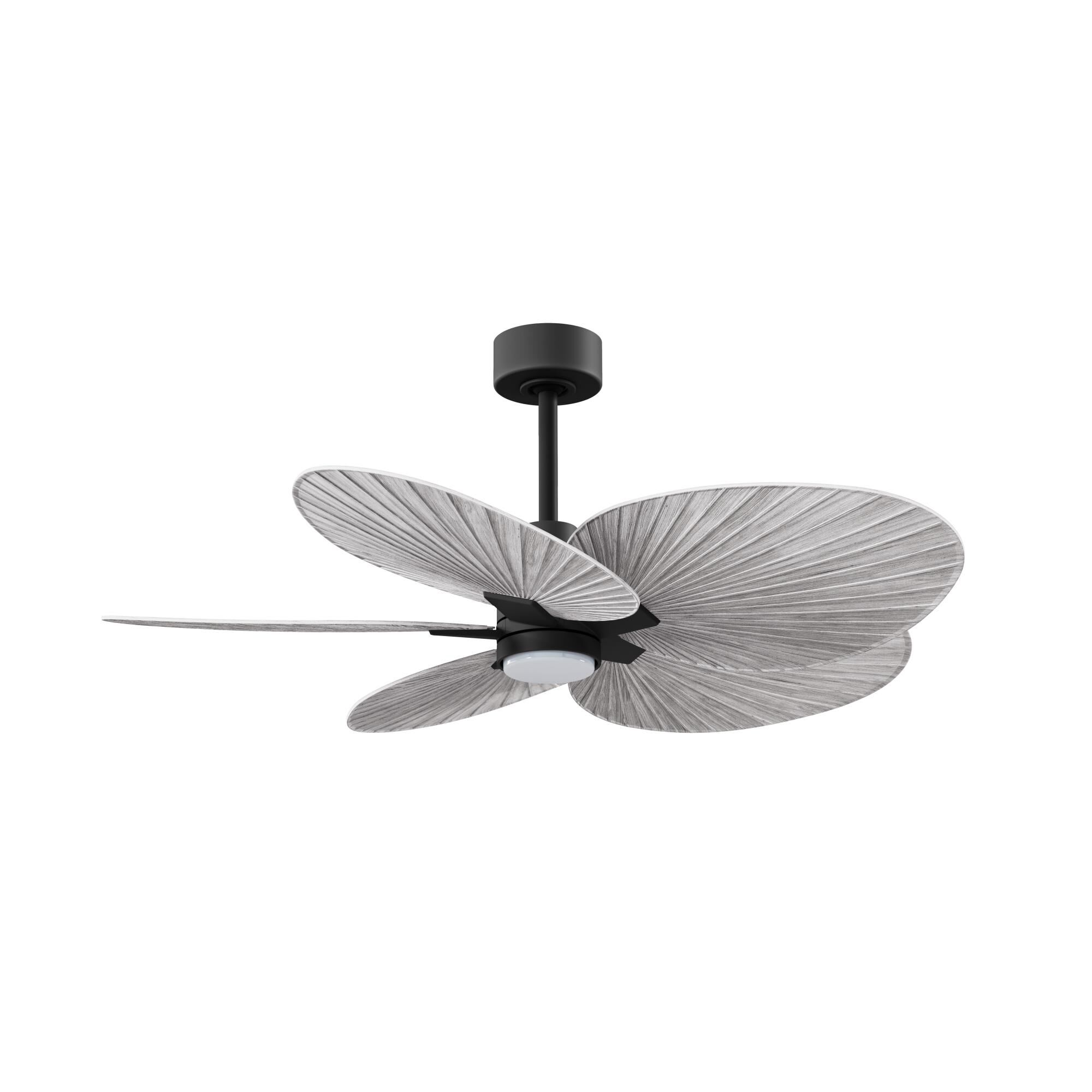 Alessandra Tropical Outdoor Rated 48 Inch Ceiling Fan with Light Kit by Matthews Fan Company