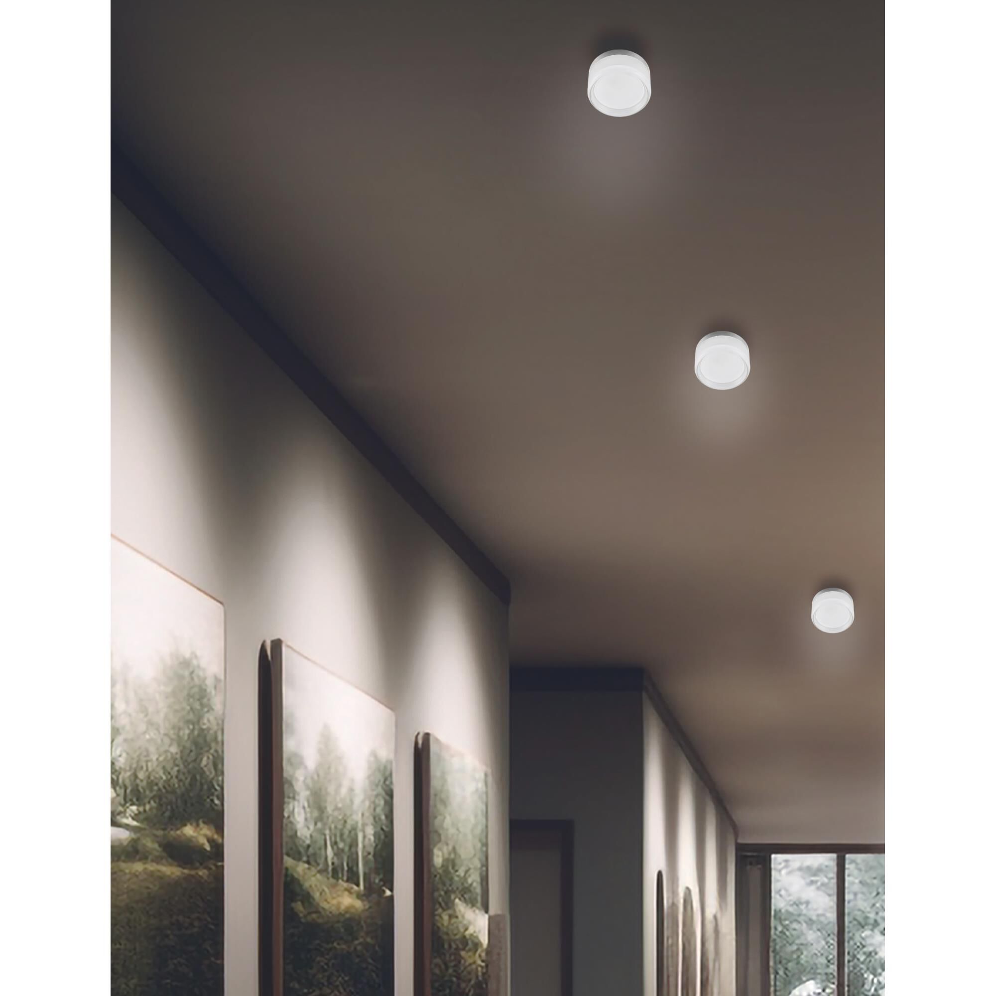 Lucia 5 Inch Wall Sconce by Dainolite