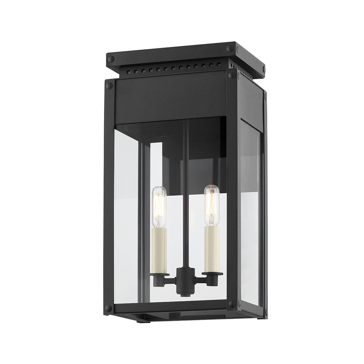 Braydan 9 Inch Outdoor Wall Light by Troy Lighting
