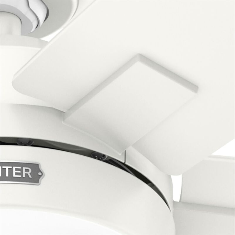 Anisten 52 Inch Ceiling Fan with Light Kit by Hunter Fan