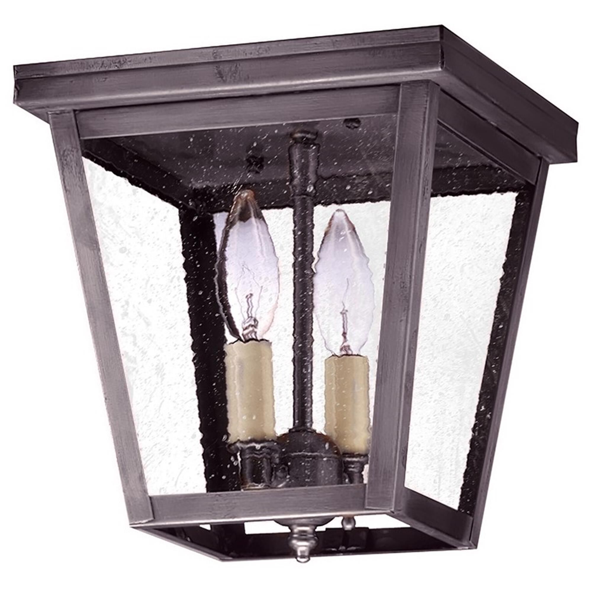 Williams 8 Inch 2 Light Outdoor Flush Mount,