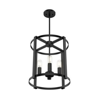 Astwood 16 Inch 4 Light Mini Chandelier by Hunter Fan