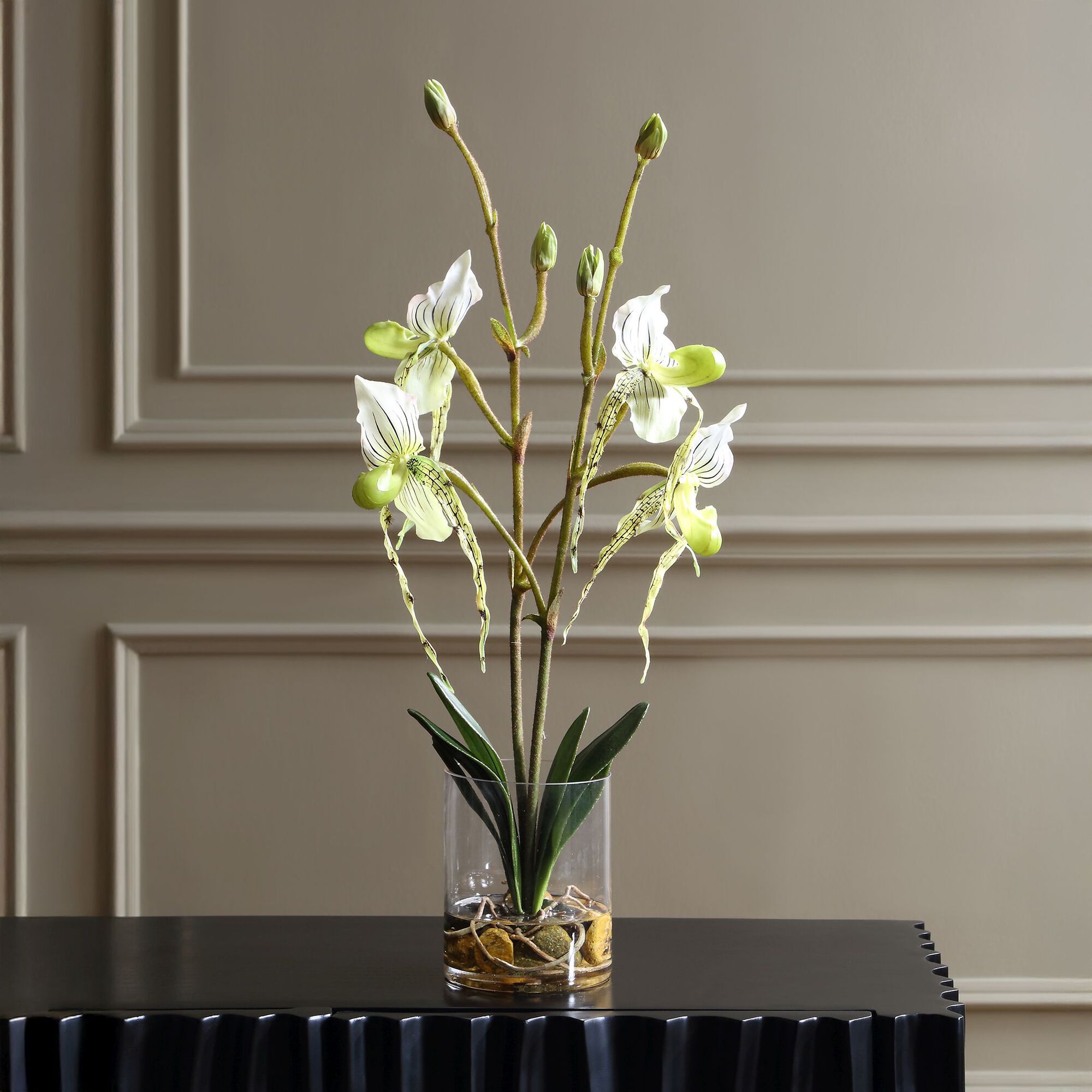 Lady Botanical,