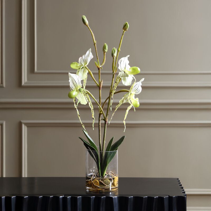 Lady Botanical by Uttermost