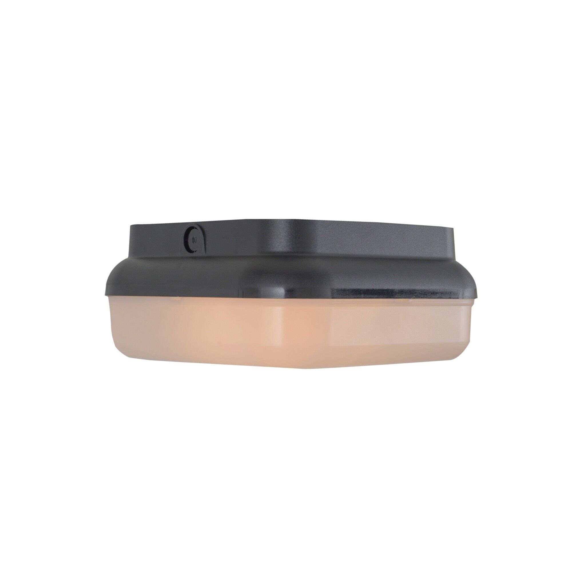 Resilience Lanterns 10 Inch Outdoor Flush Mount,