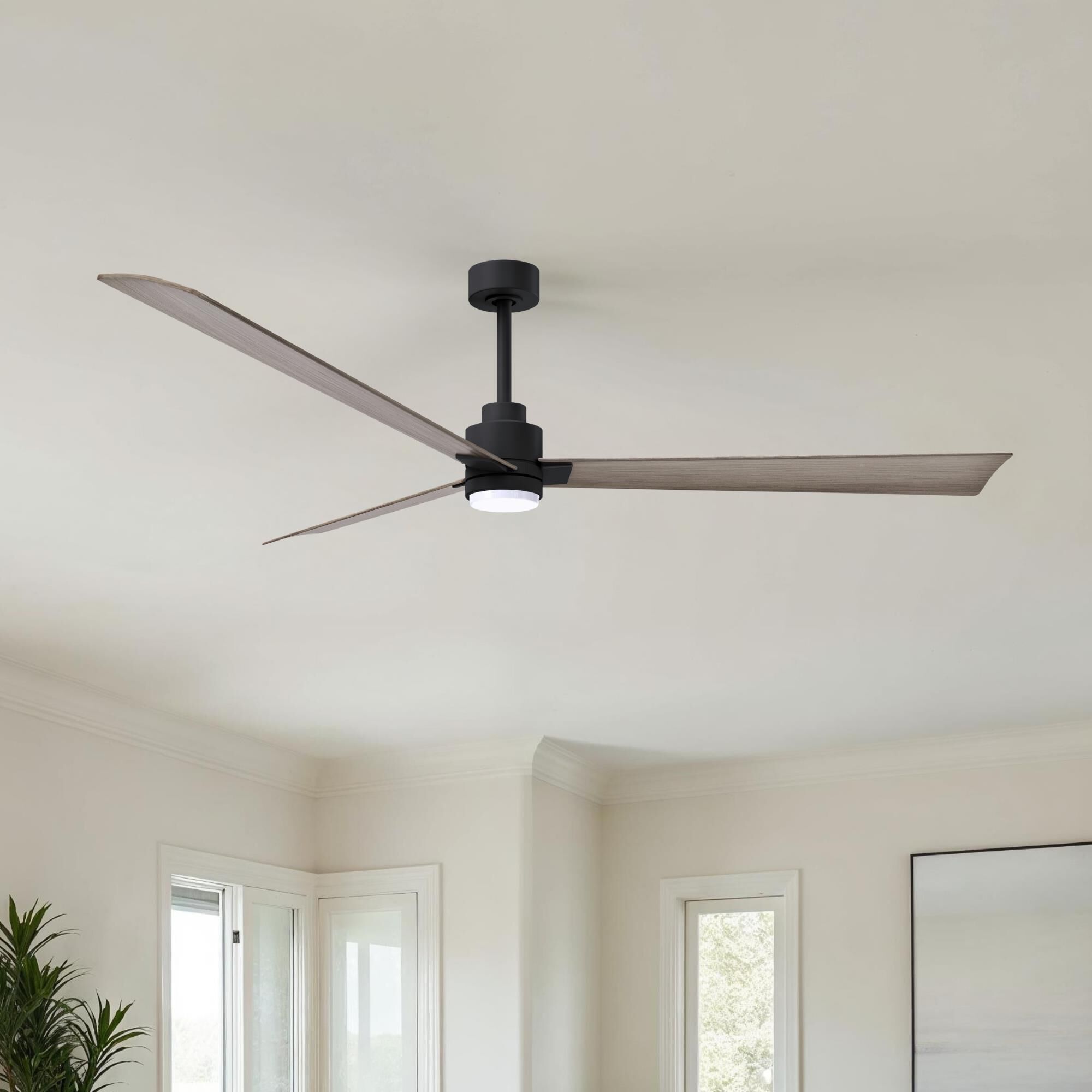 Alessandra 72 Inch Ceiling Fan by Matthews Fan Company