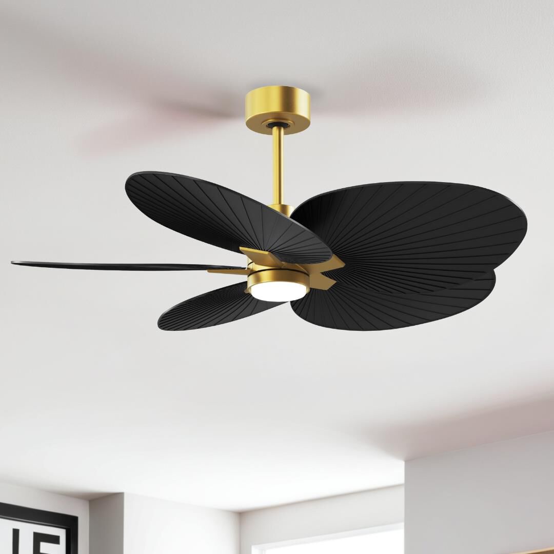 Shown in Brushed Brass finish