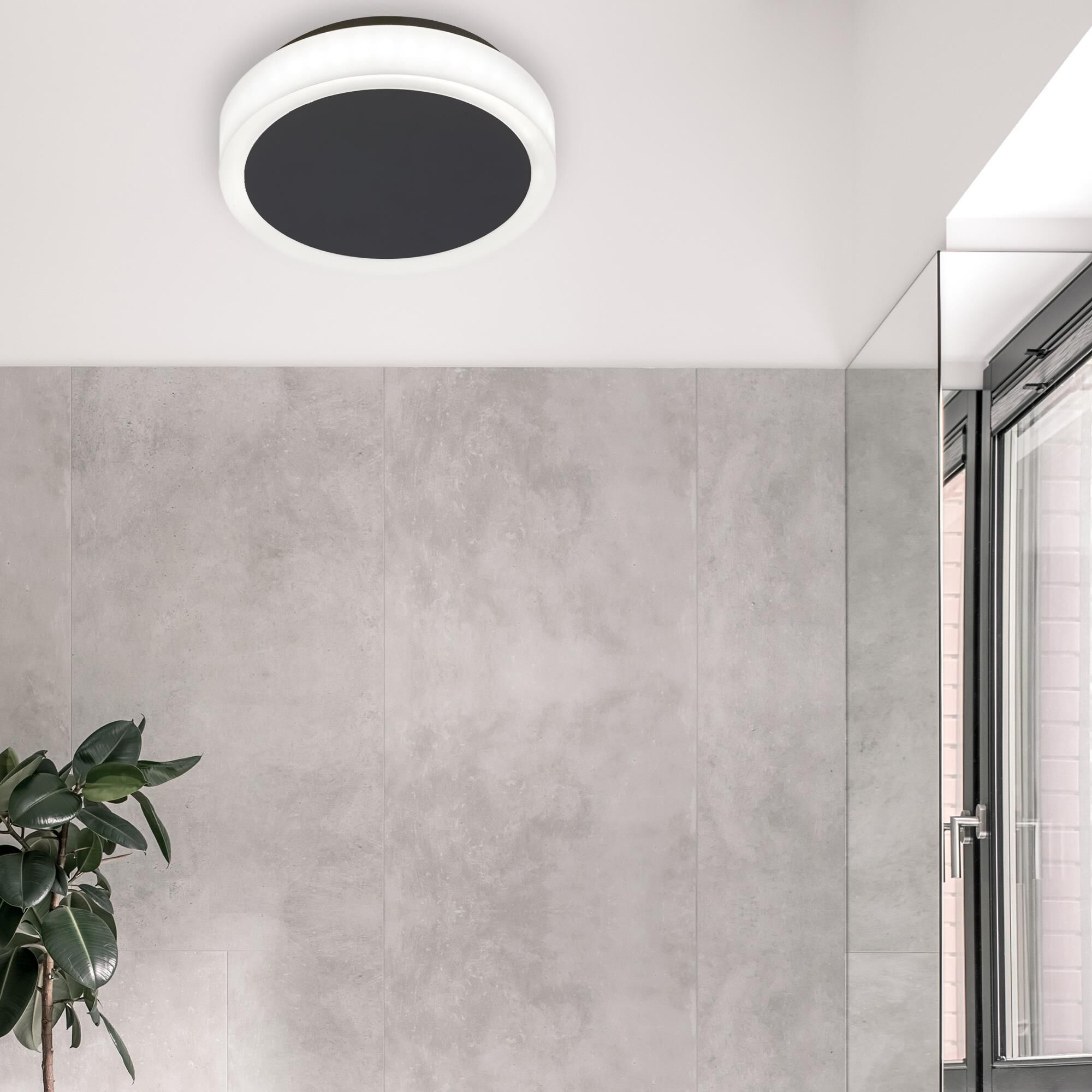 Dainolite Topaz 6 Inch LED Wall Sconce