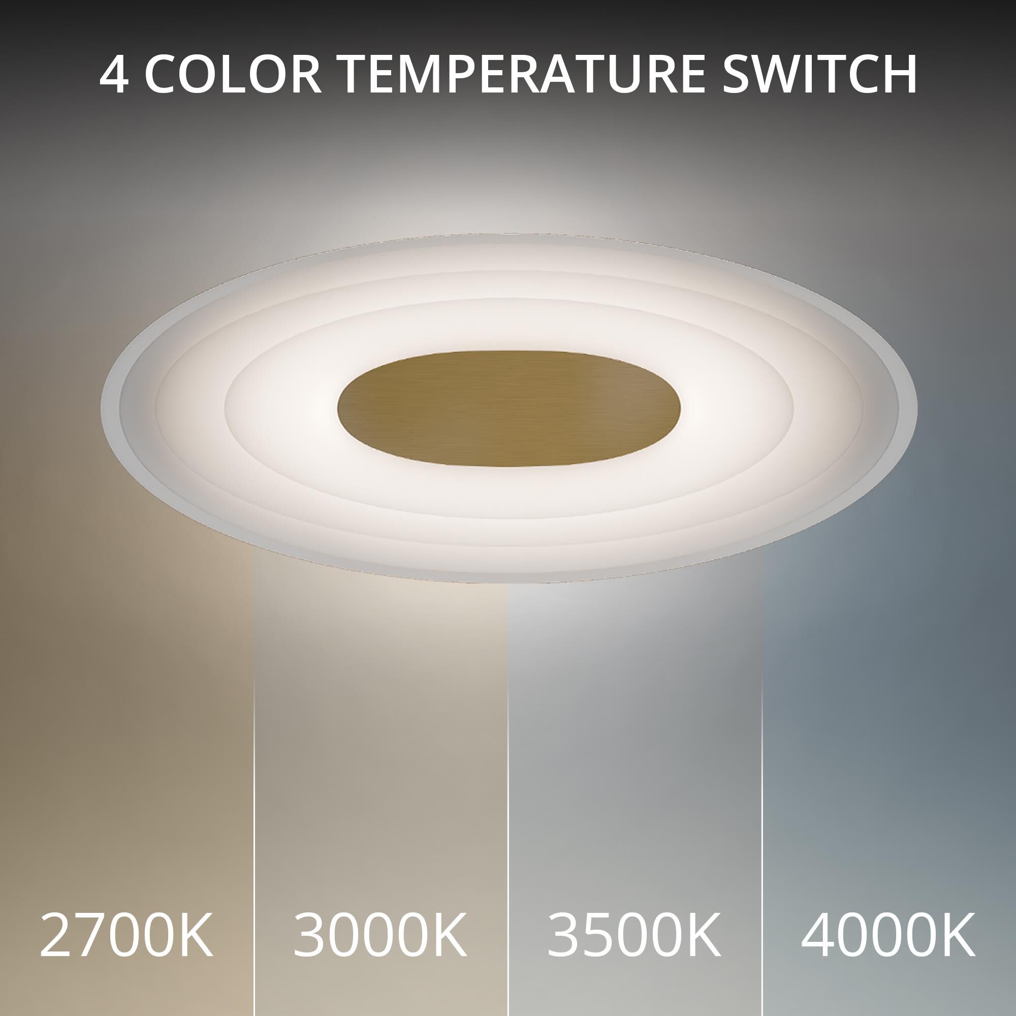 Orbix 14 Inch Wall Sconce by dweLED