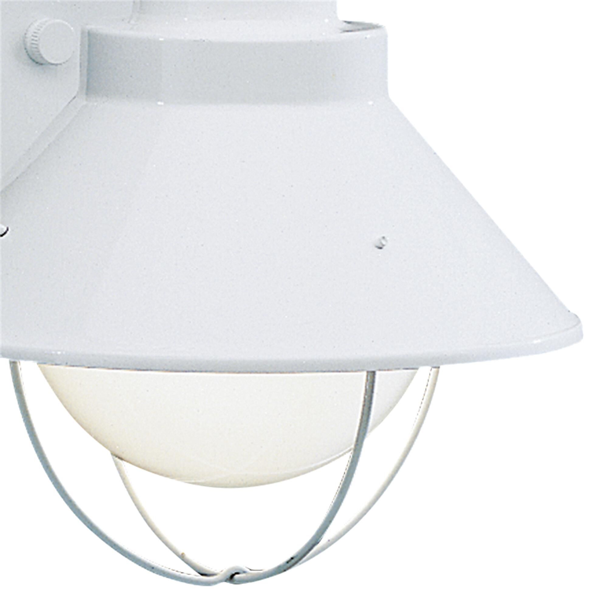 Seaside 12 Inch Tall 1 Light Outdoor Wall Light,