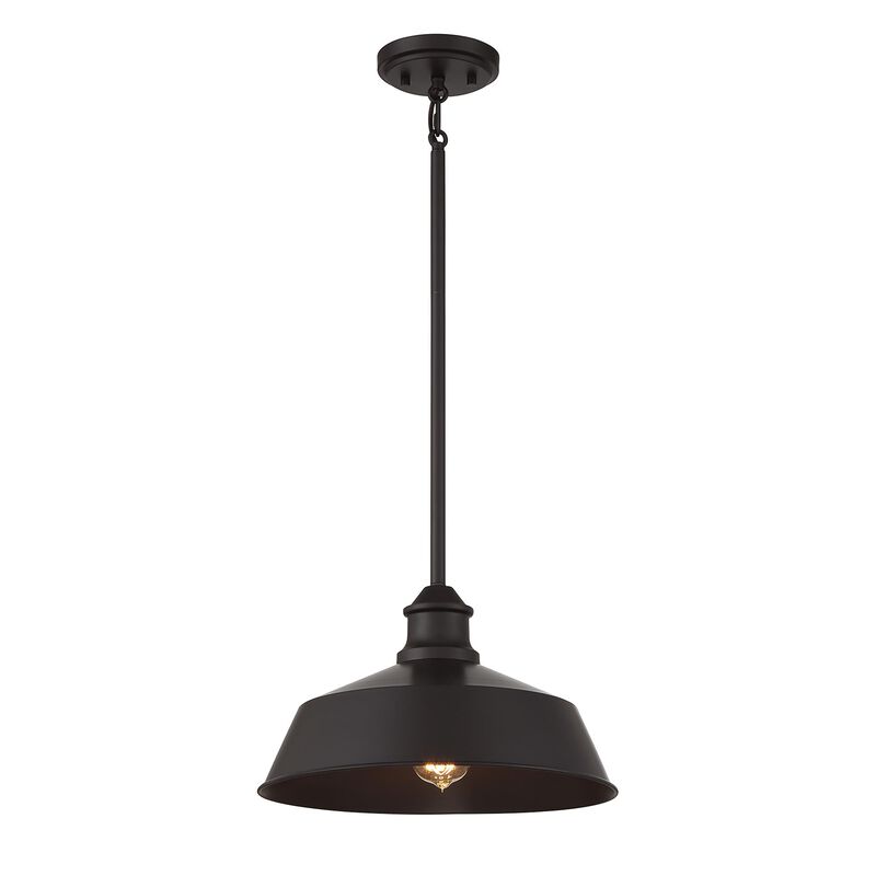 Meridian Lighting 14 Inch LED Large Pendant