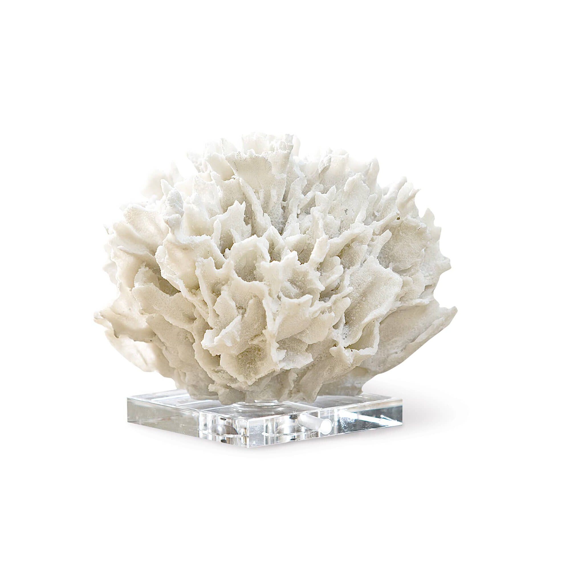 Ribbon Coral Other Table Accent by Regina Andrew