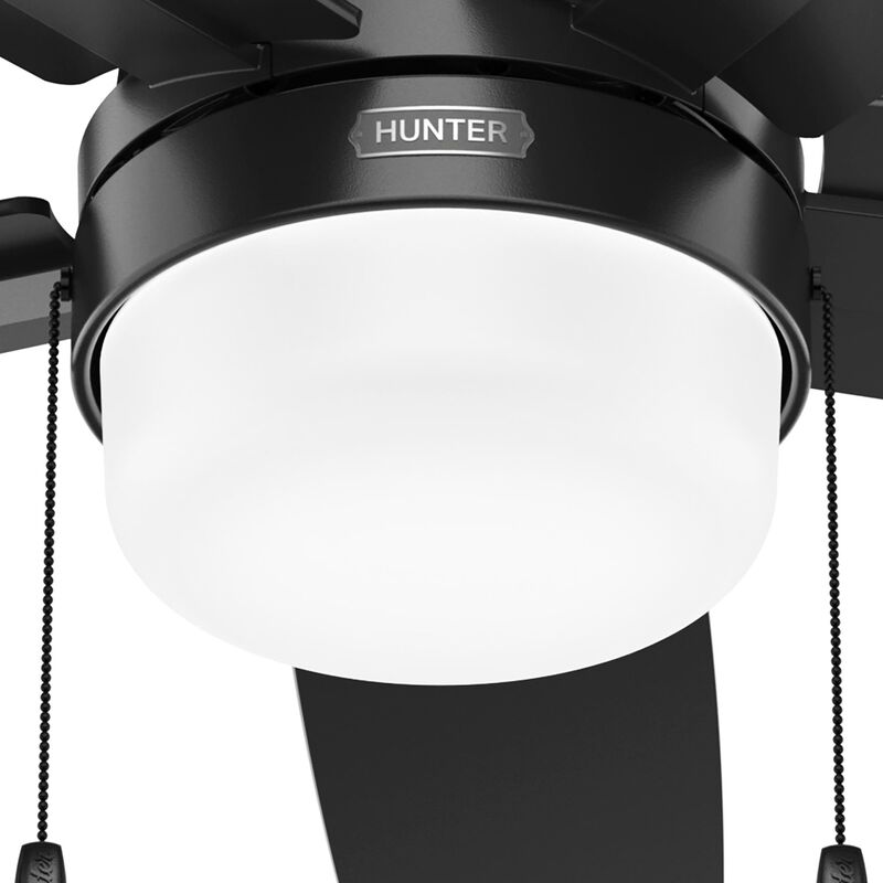 Anisten 52 Inch Ceiling Fan with Light Kit by Hunter Fan