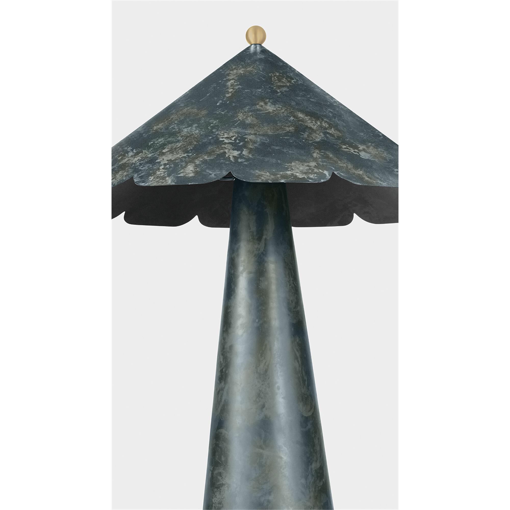 AlternateAngleImage