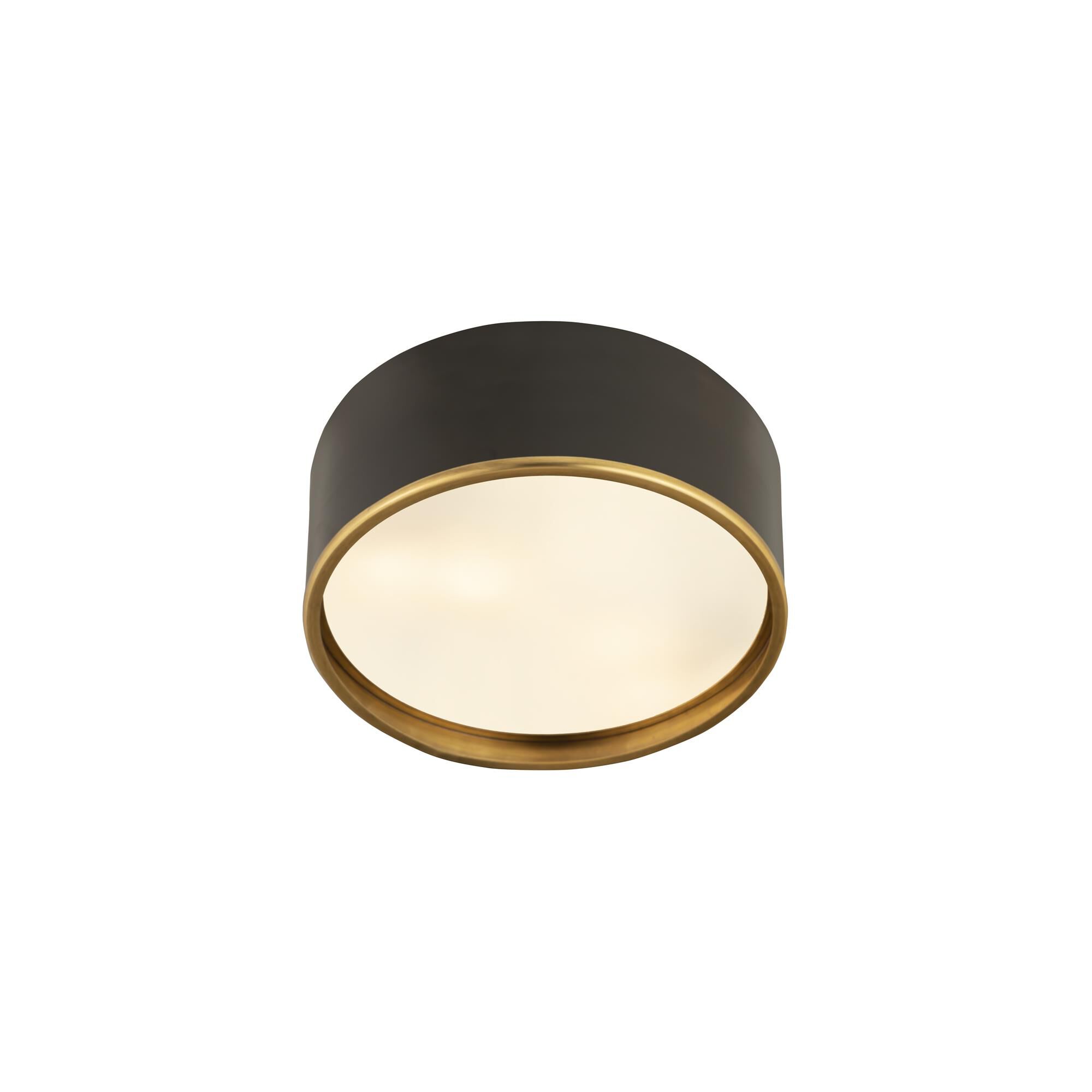 Shown in Matte Black And Rubbed Brass finish and Steel glass and Steel shade