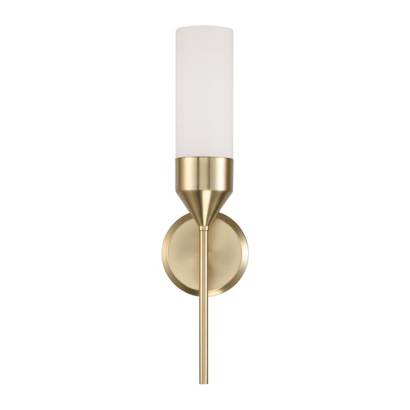 Devon 19 Inch Wall Sconce by Capital Lighting Fixture Company