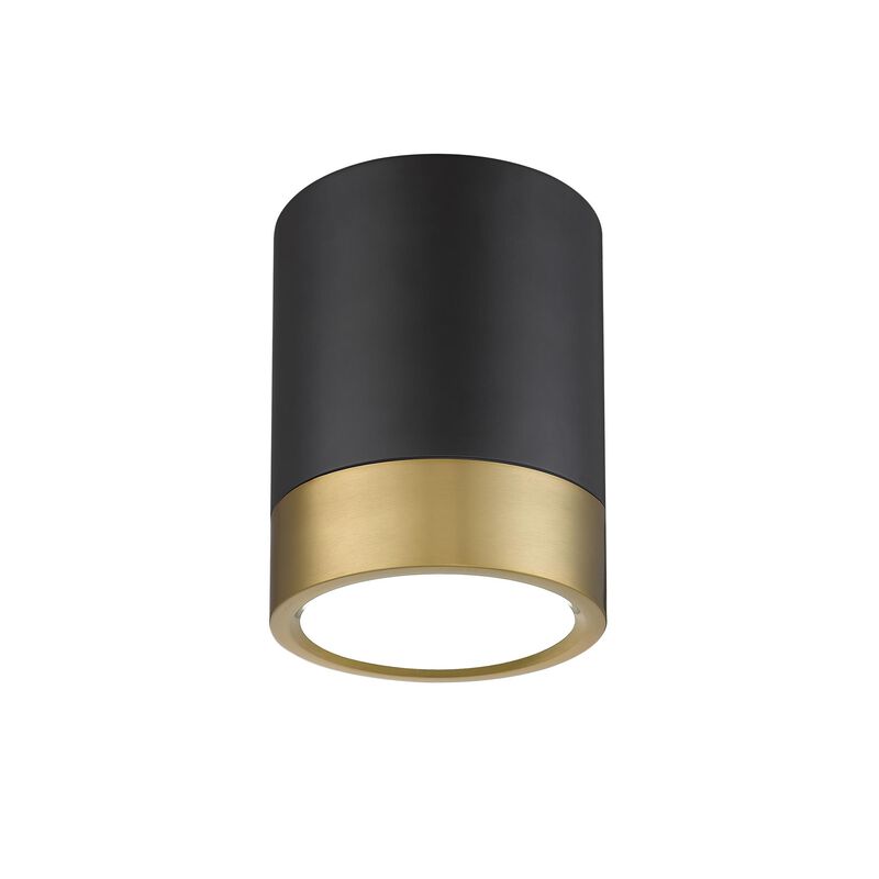 Algar 6 Inch Flush Mount by Z Lite