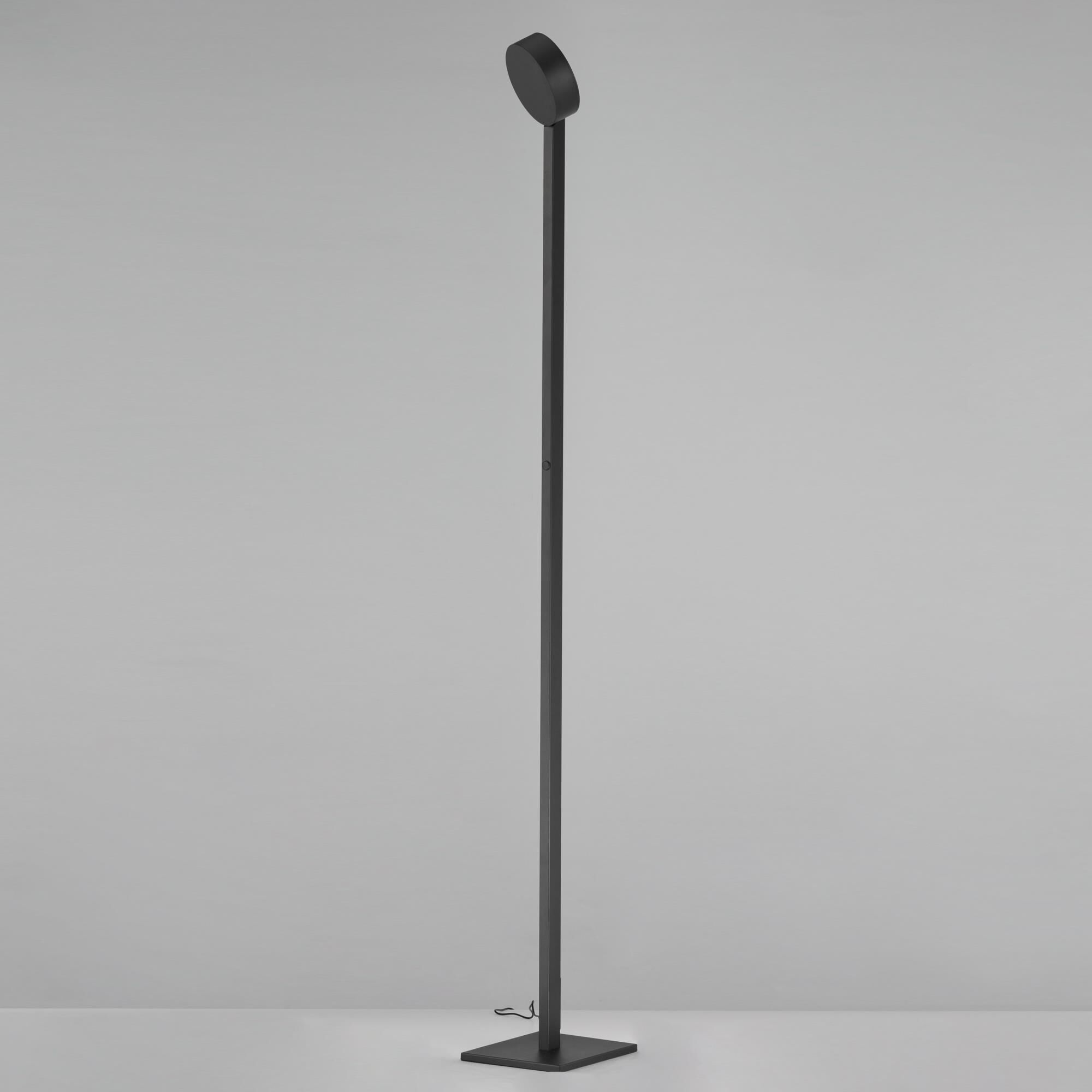 Embrace 65 Inch Reading Lamp by ET2 Lighting