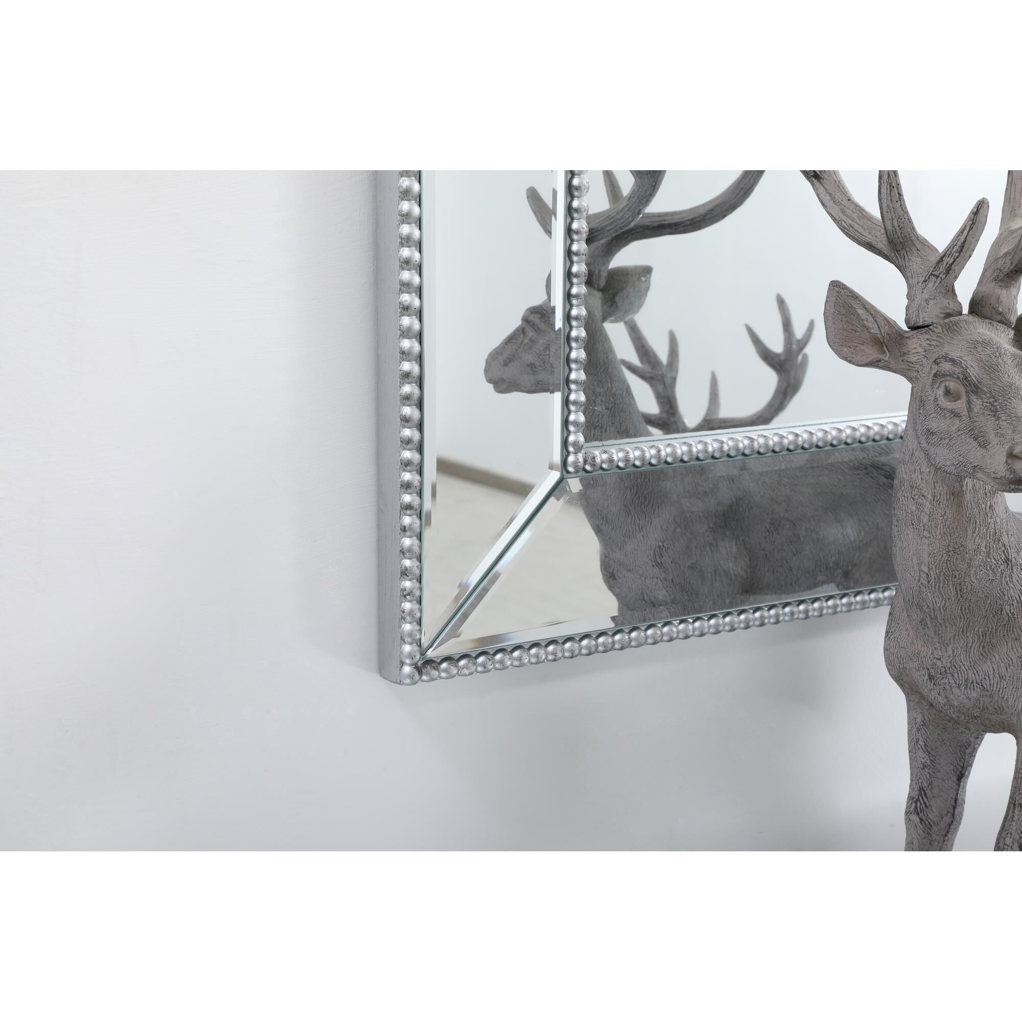 Iris Decorative Mirrors by Elegant Decor